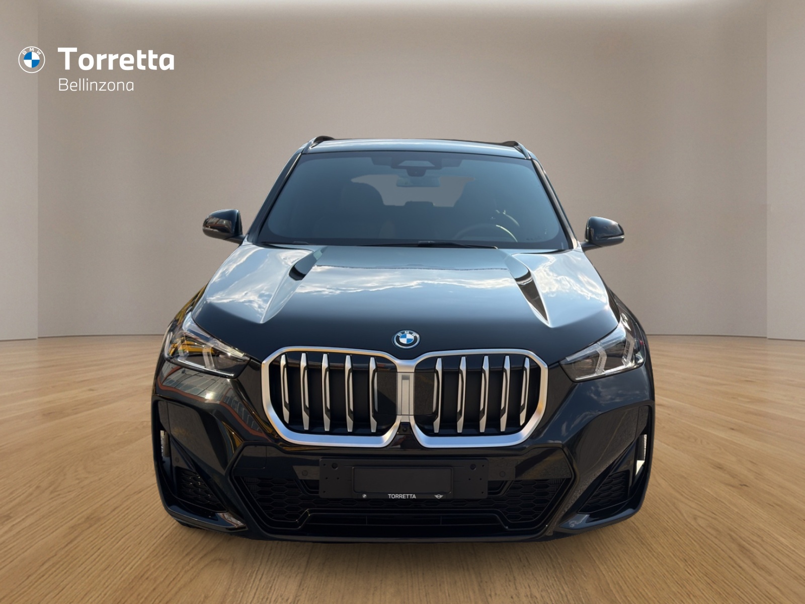BMW X1 xDrive 25e M Sport-image-7