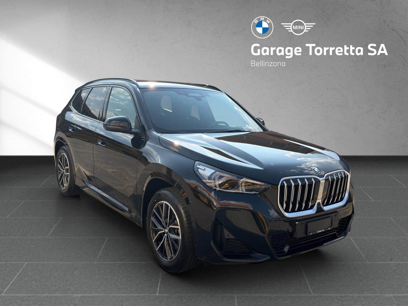BMW X1 xDrive 25e M Sport-image-6