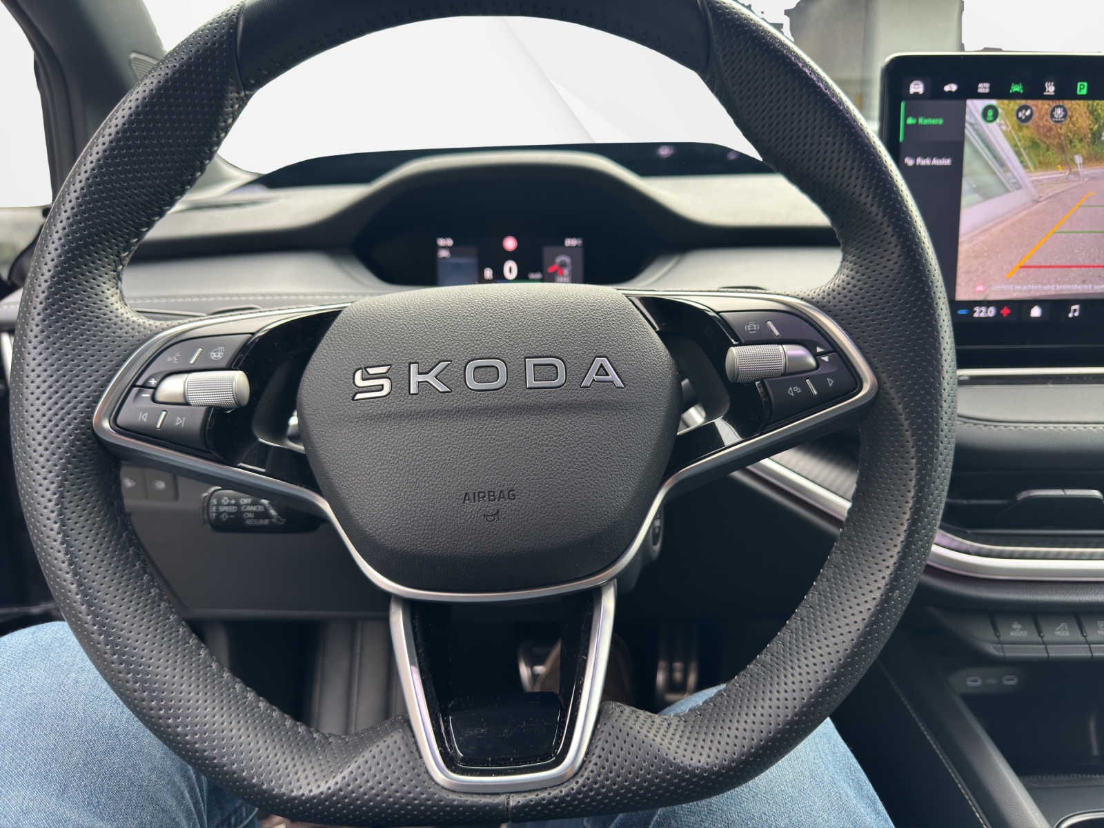 SKODA Enyaq 85x Sportline 4x4-image-10