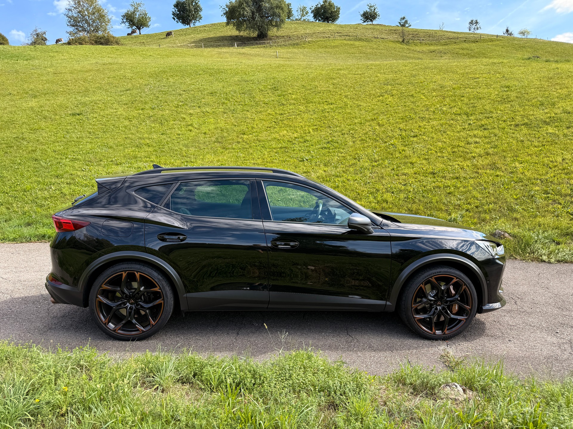 CUPRA 2.5 TSI VZ5 4Drive DSG-image-2