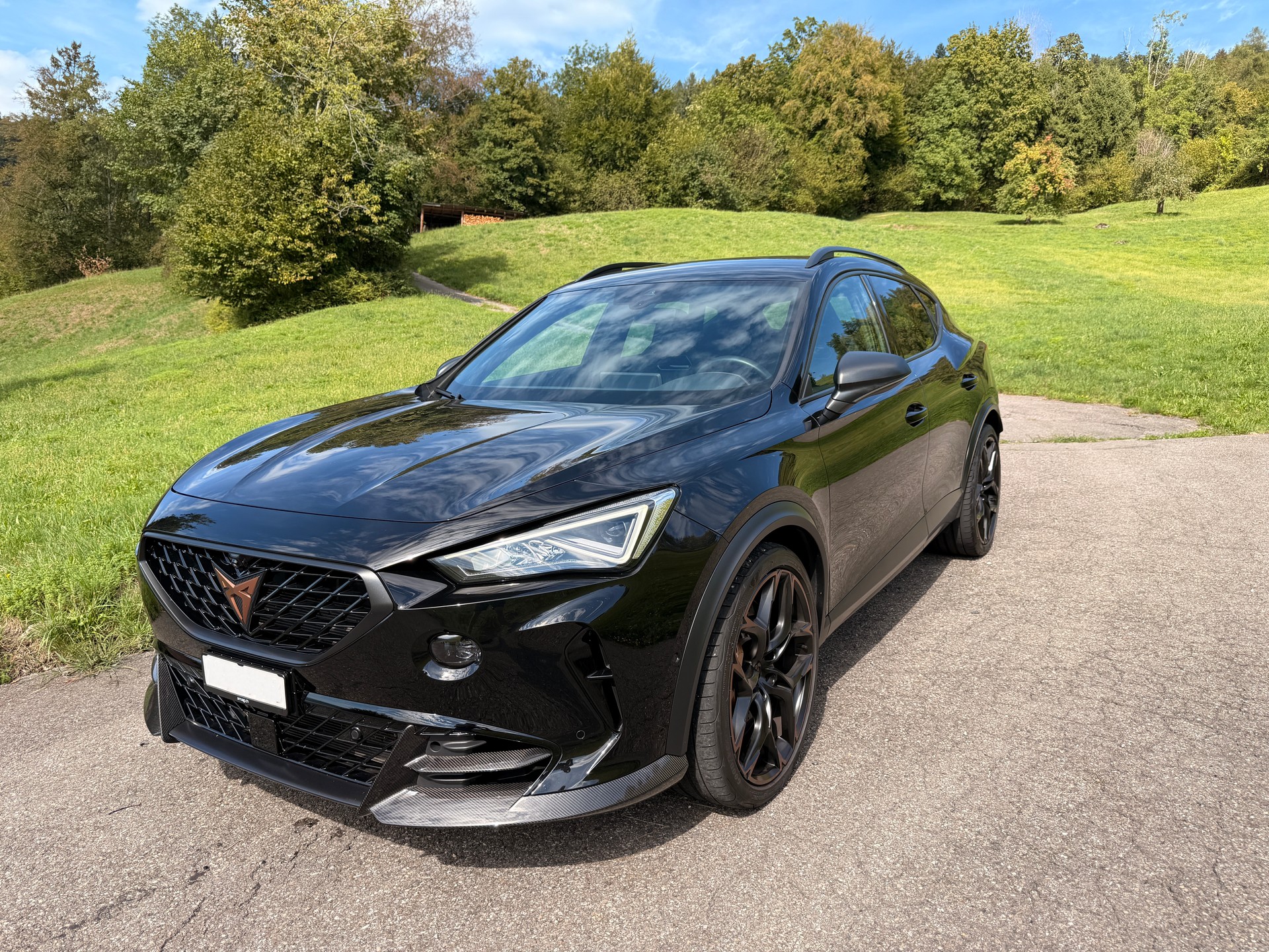 CUPRA 2.5 TSI VZ5 4Drive DSG-image-0