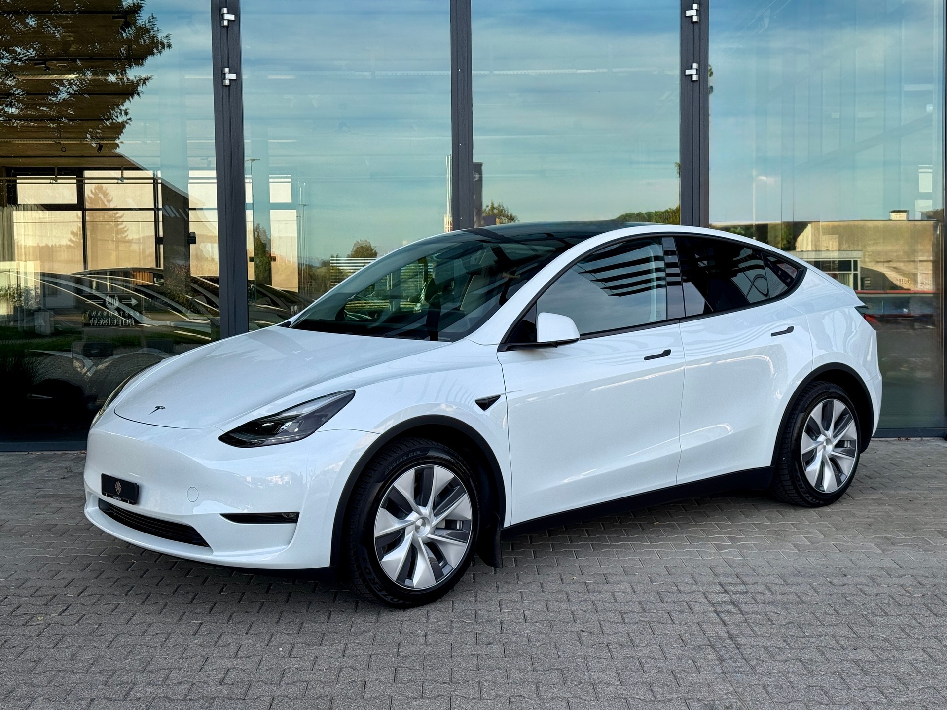 TESLA Model Y Long Range-image-2