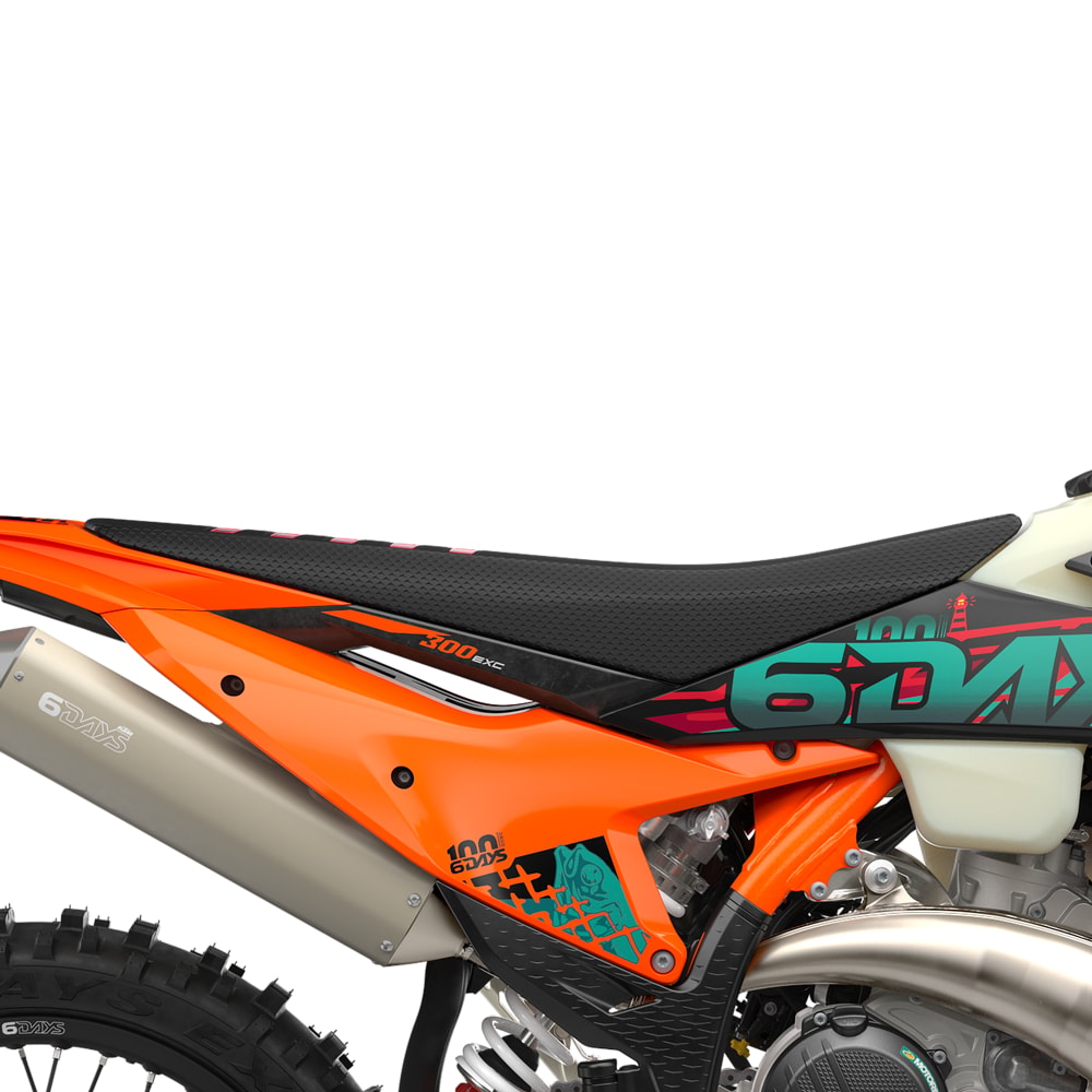 KTM KTM 300 EXC 6DAYS 2027-image-4