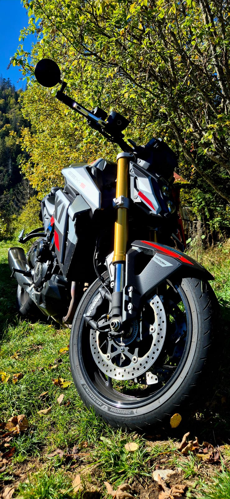 SUZUKI GSX-S 1000 EVO-image-5