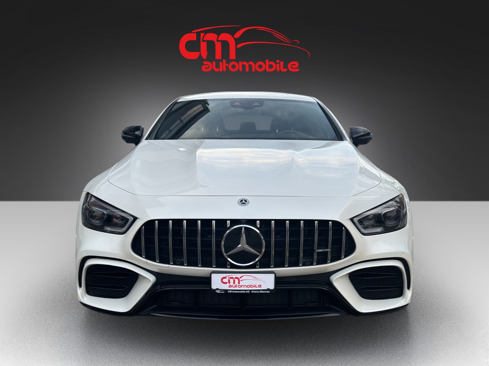 MERCEDES-BENZ AMG GT 4 43 4Matic+-image-7