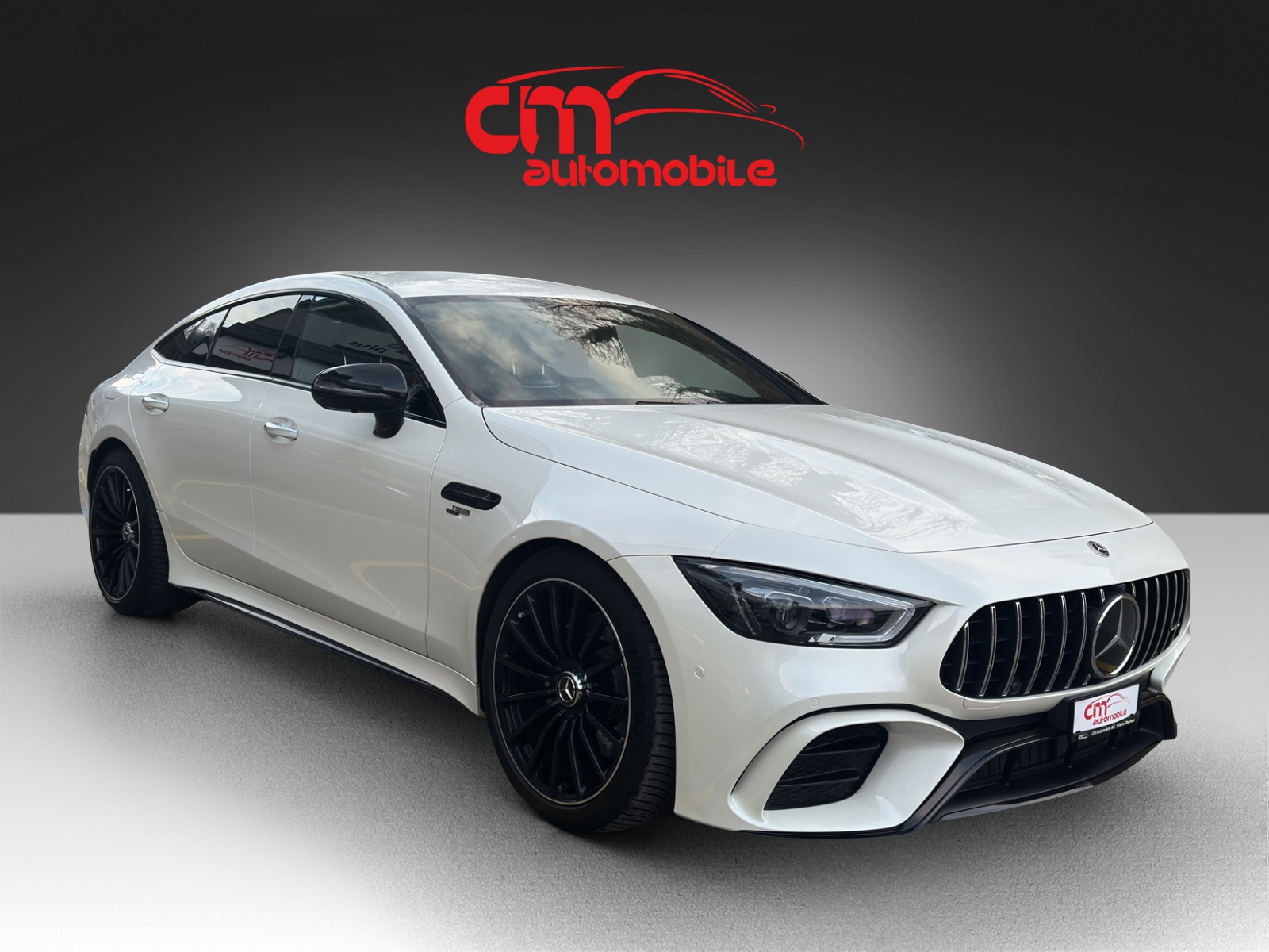 MERCEDES-BENZ AMG GT 4 43 4Matic+-image-3