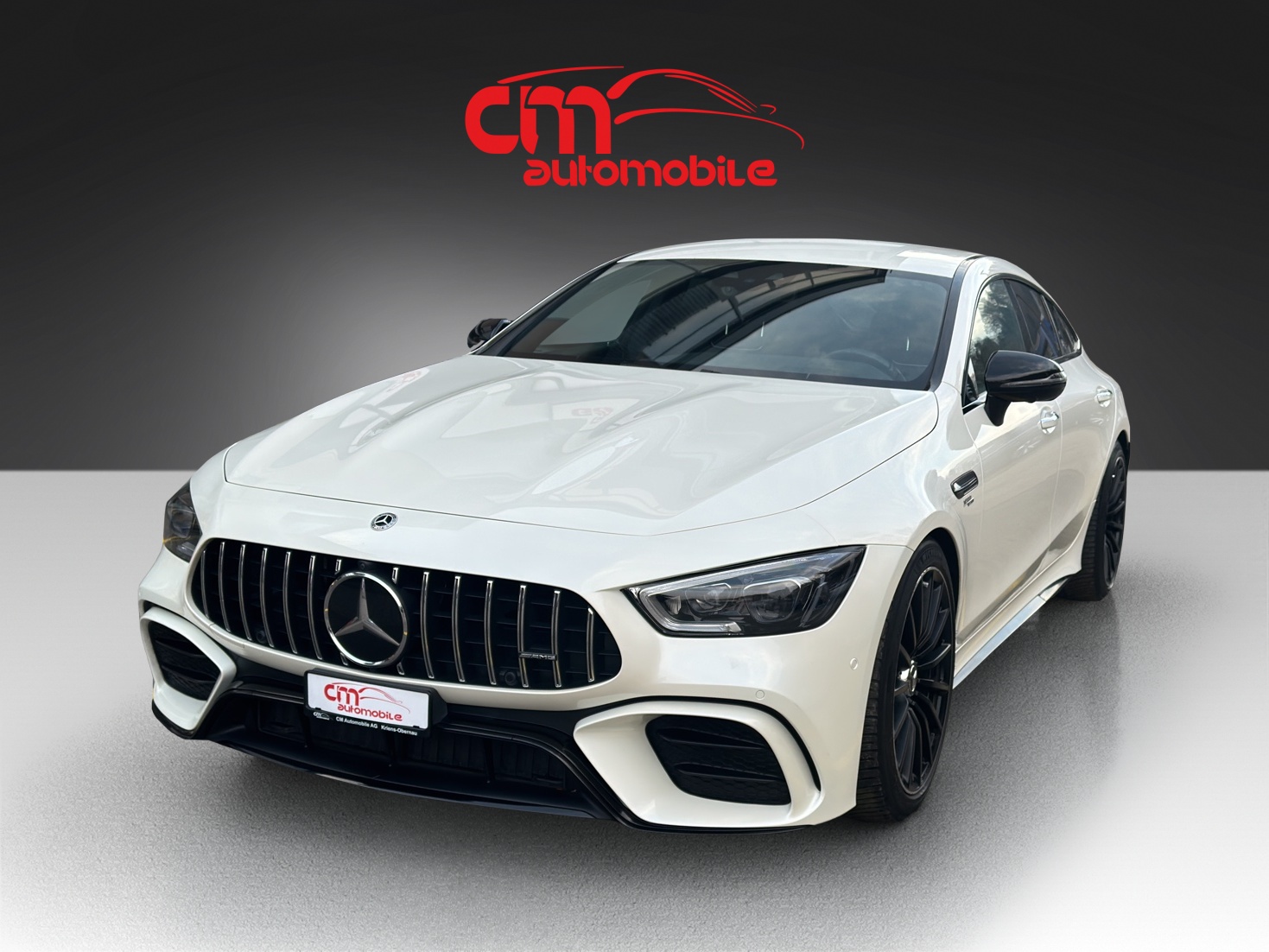 MERCEDES-BENZ AMG GT 4 43 4Matic+-image-0
