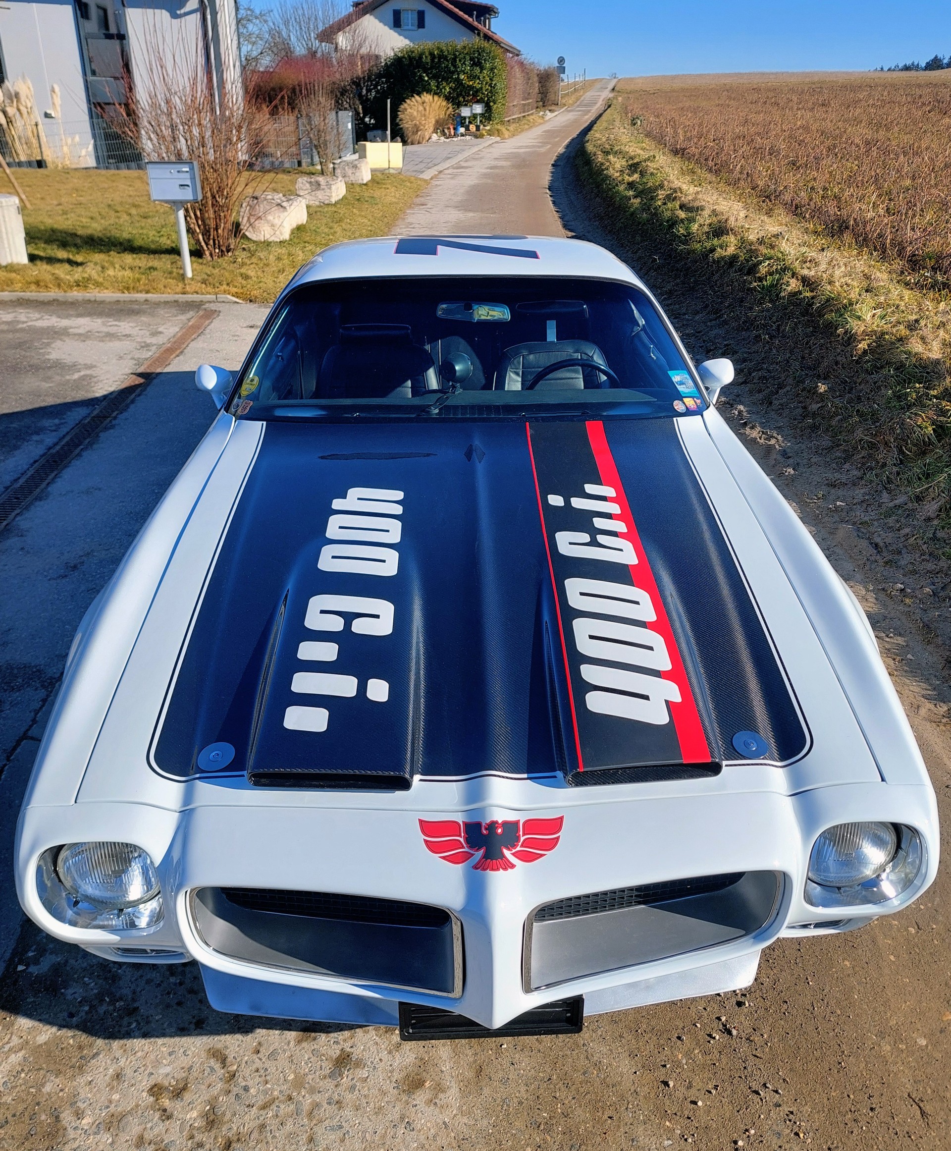 PONTIAC Firebird Formula 400-image-10