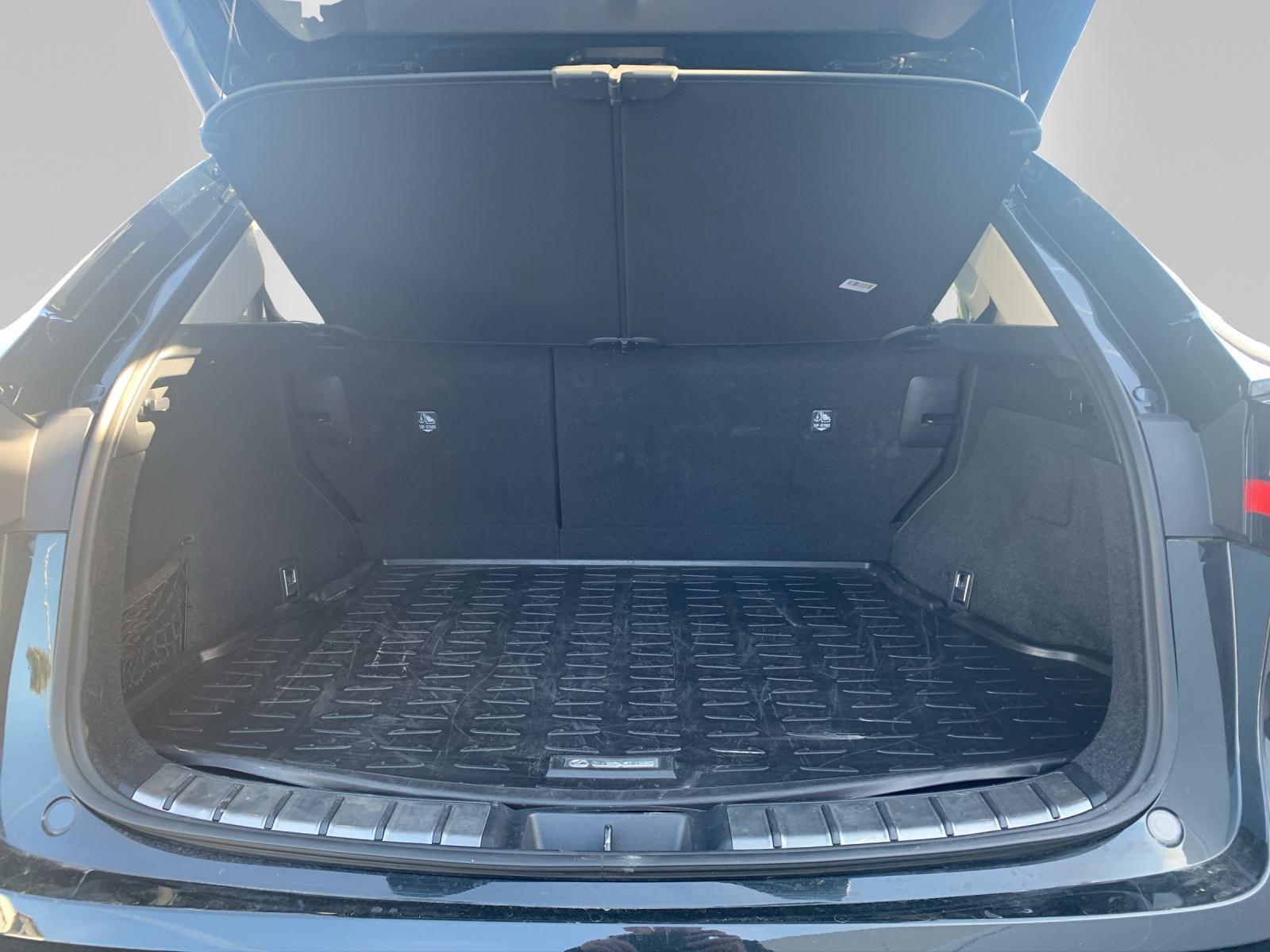 LEXUS NX 450h+ Excellence-image-12