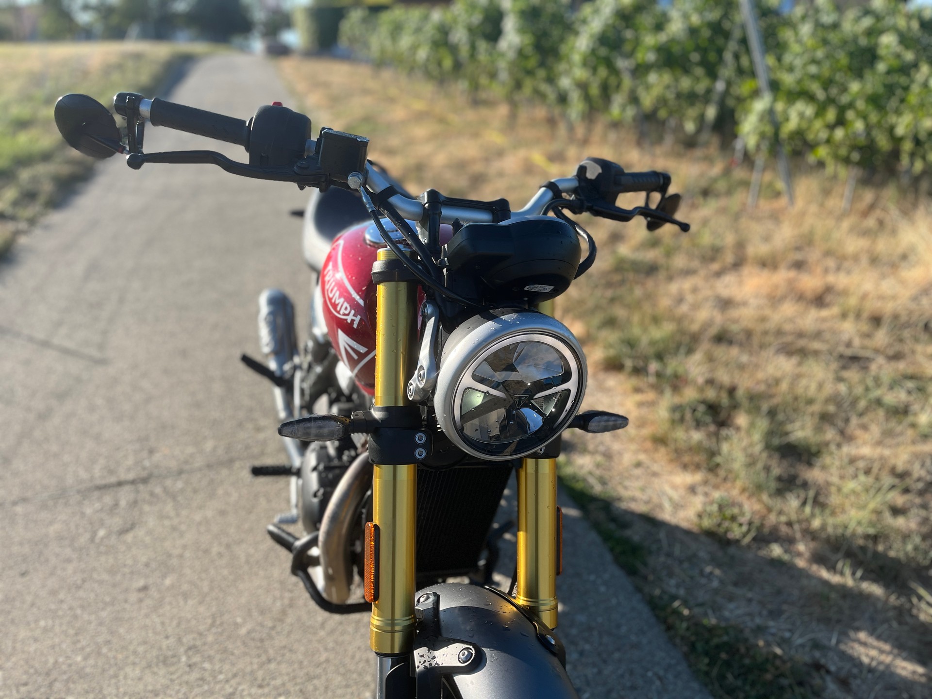 TRIUMPH Speed 400-image-1