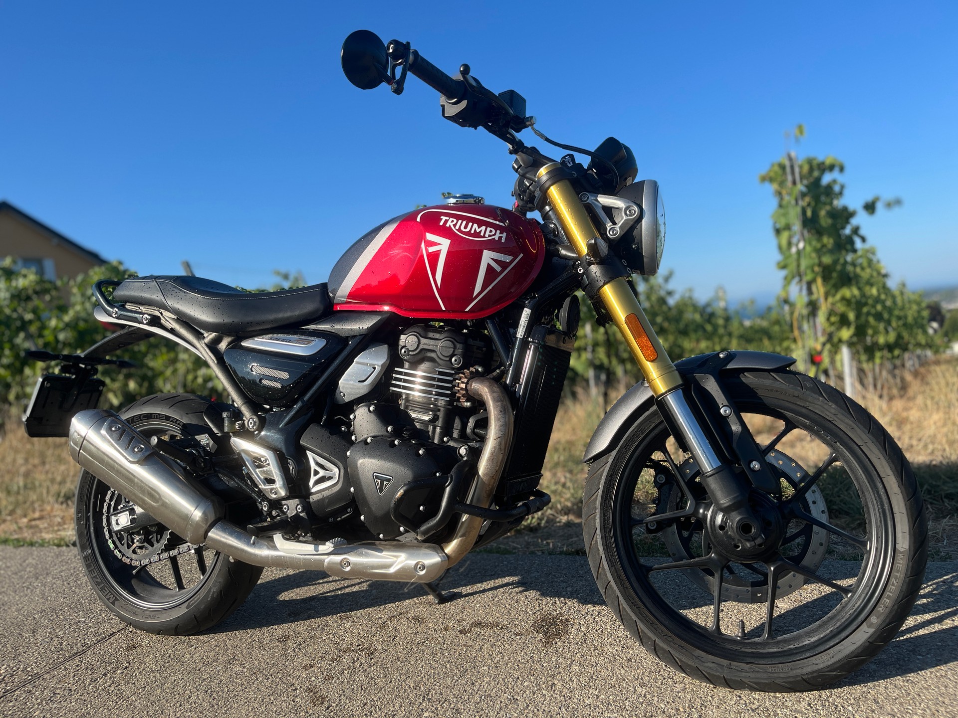 TRIUMPH Speed 400-image-6