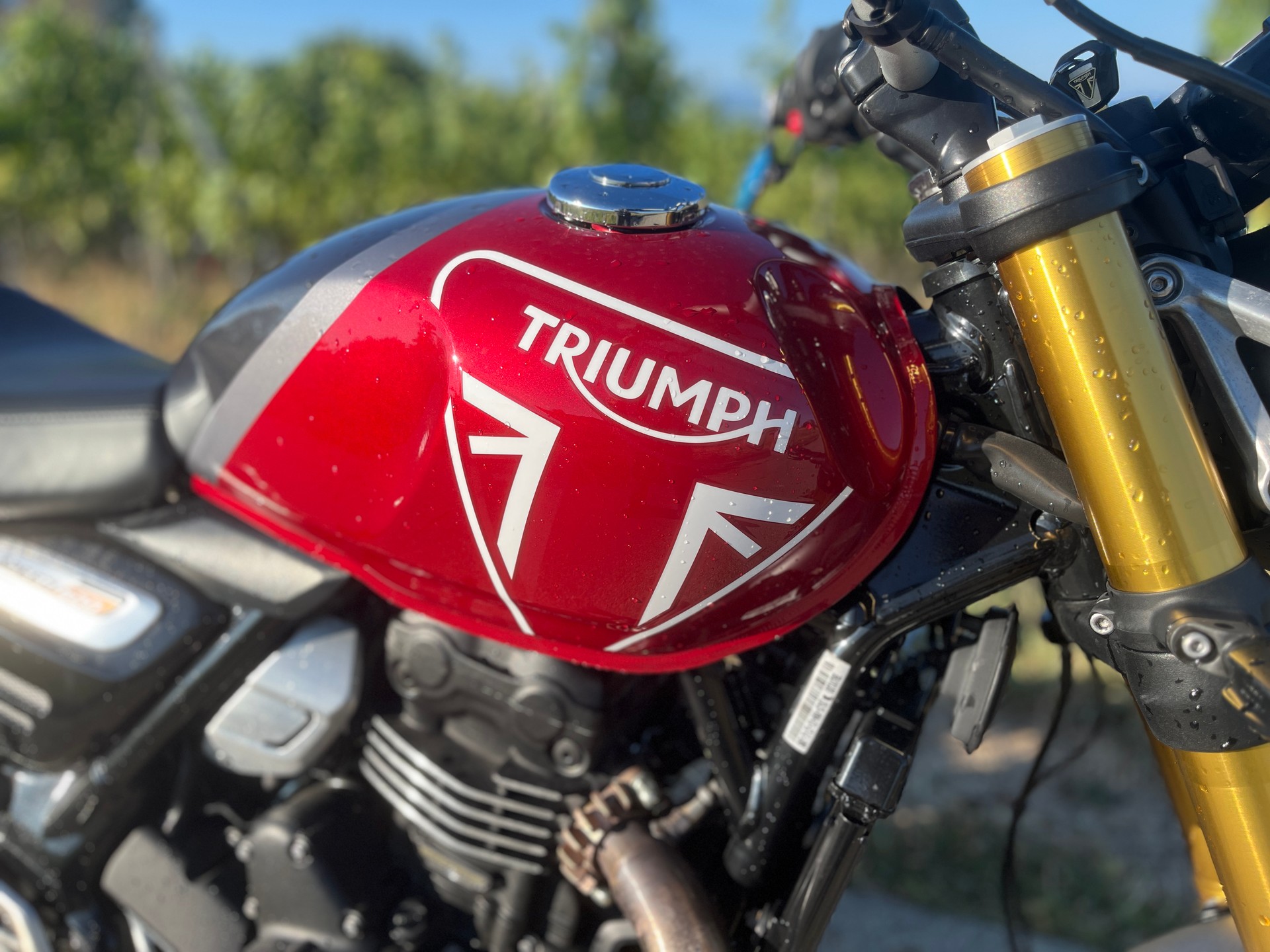 TRIUMPH Speed 400-image-2
