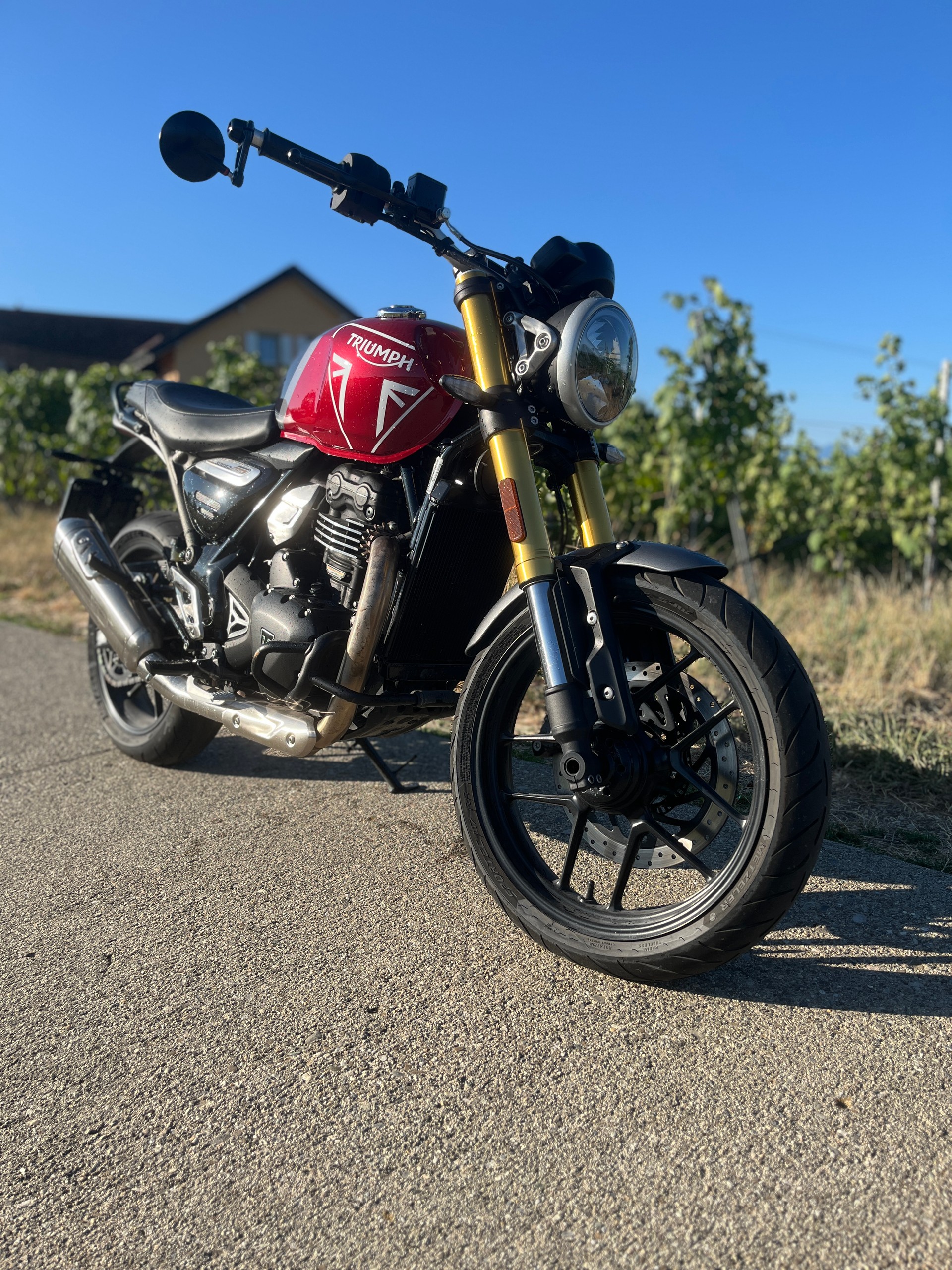 TRIUMPH Speed 400-image-7
