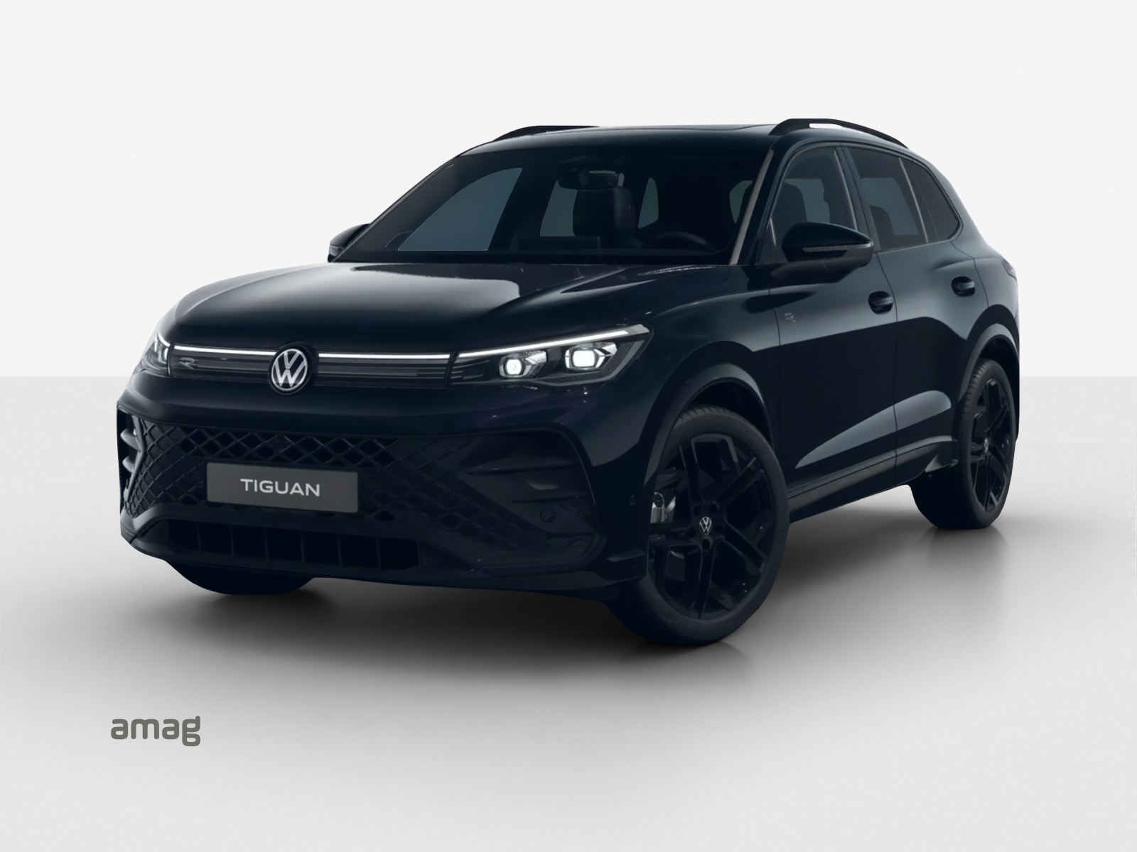 VW Tiguan 2.0 TDI SCR R-Line 4Motion DSG-image-0