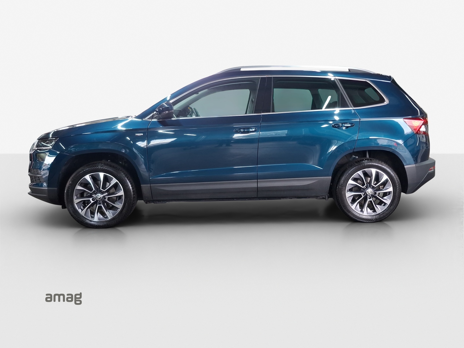 SKODA Karoq 1.0 TSI Ambition-image-1