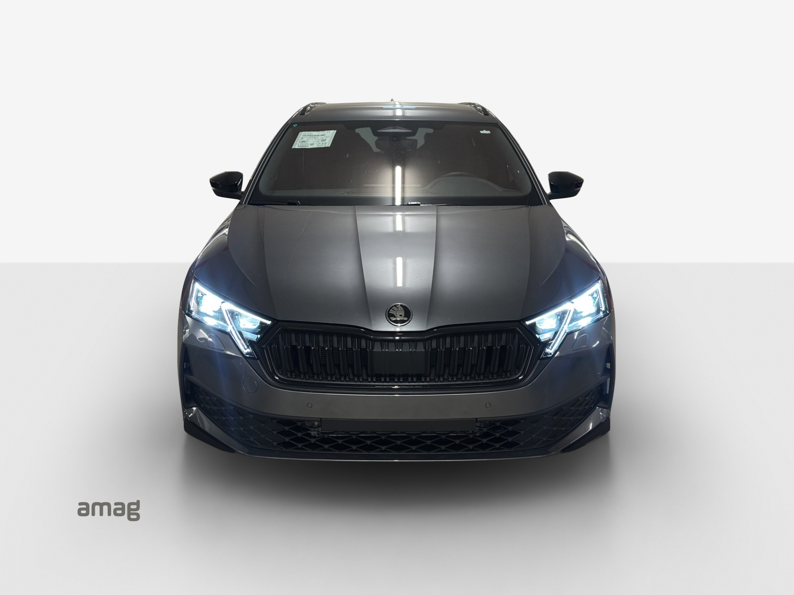 SKODA Octavia Combi 2.0 TSI DSG RS 30 Years Edition-image-6
