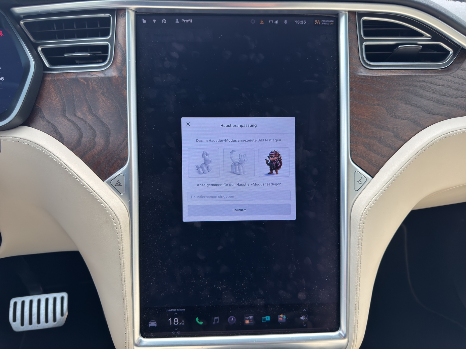 TESLA Model X 100 D-image-15