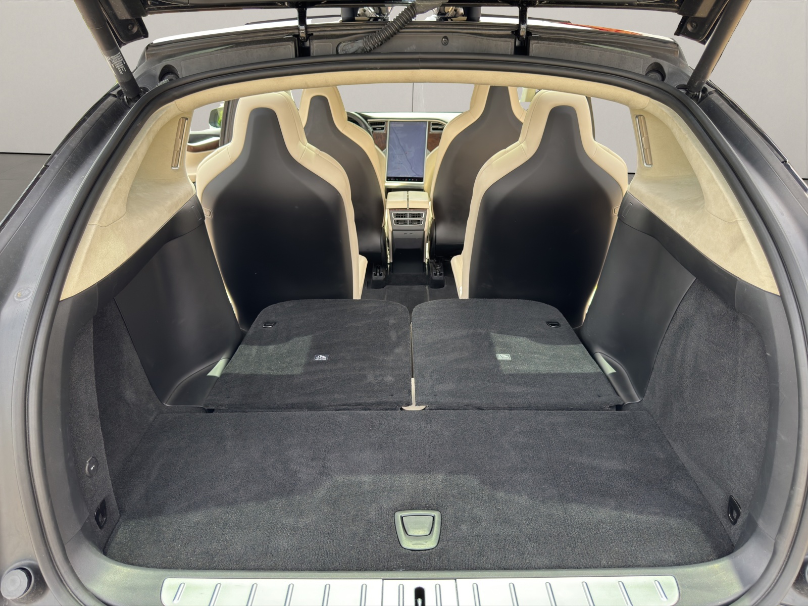 TESLA Model X 100 D-image-9