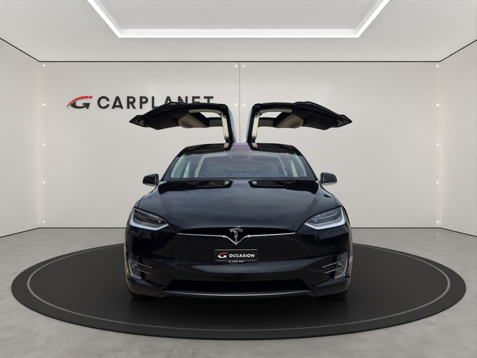 TESLA Model X 100 D-showroom-element-1