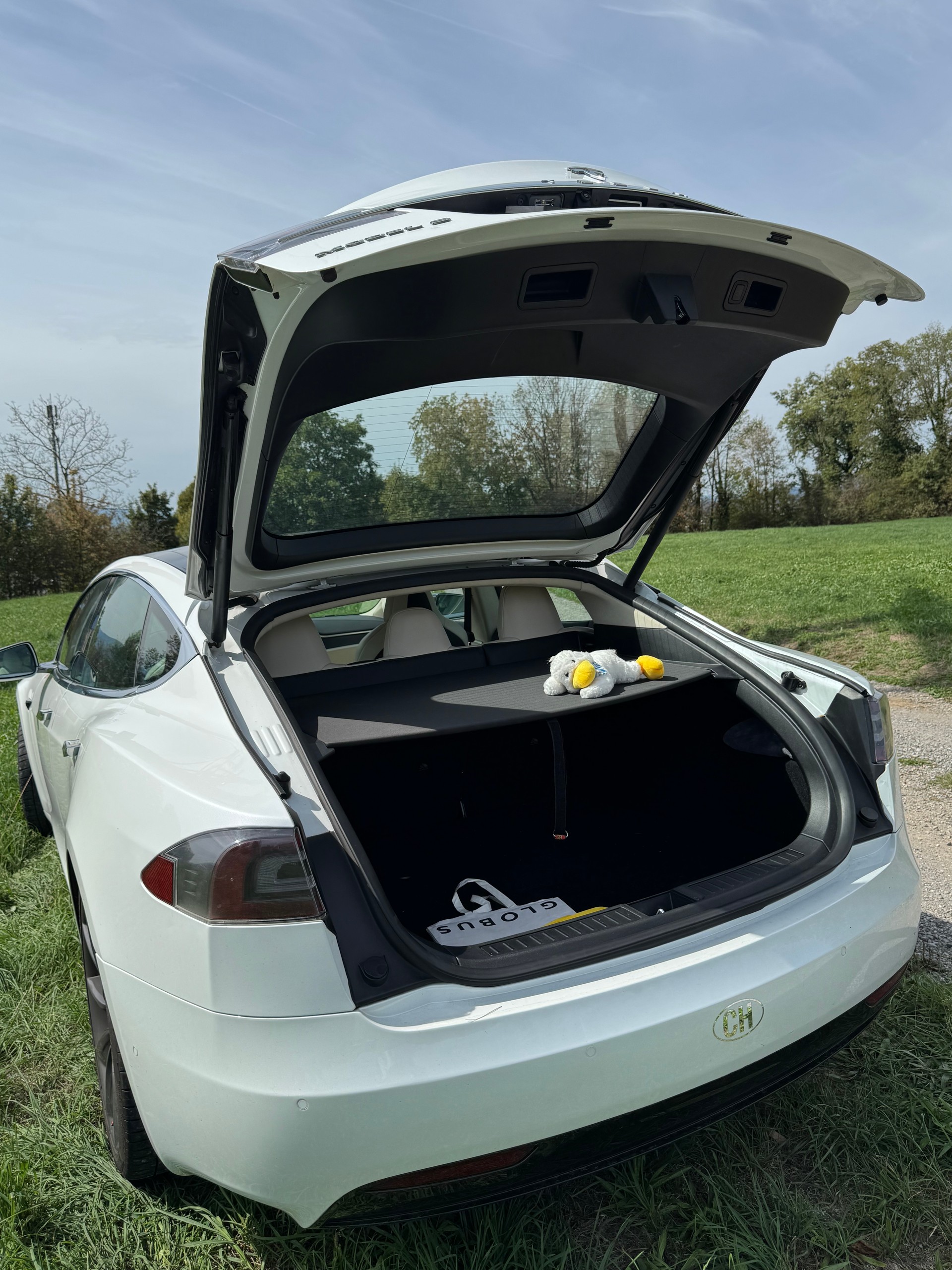 TESLA 100 Performance D-image-2