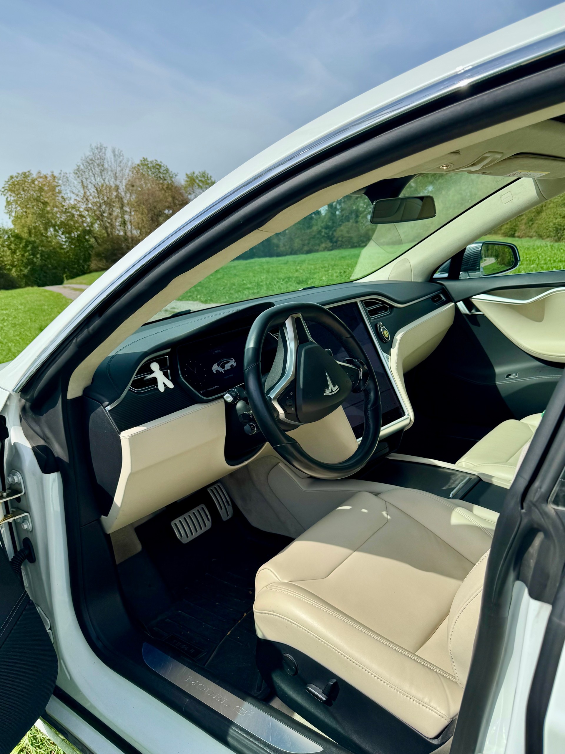 TESLA 100 Performance D-image-4