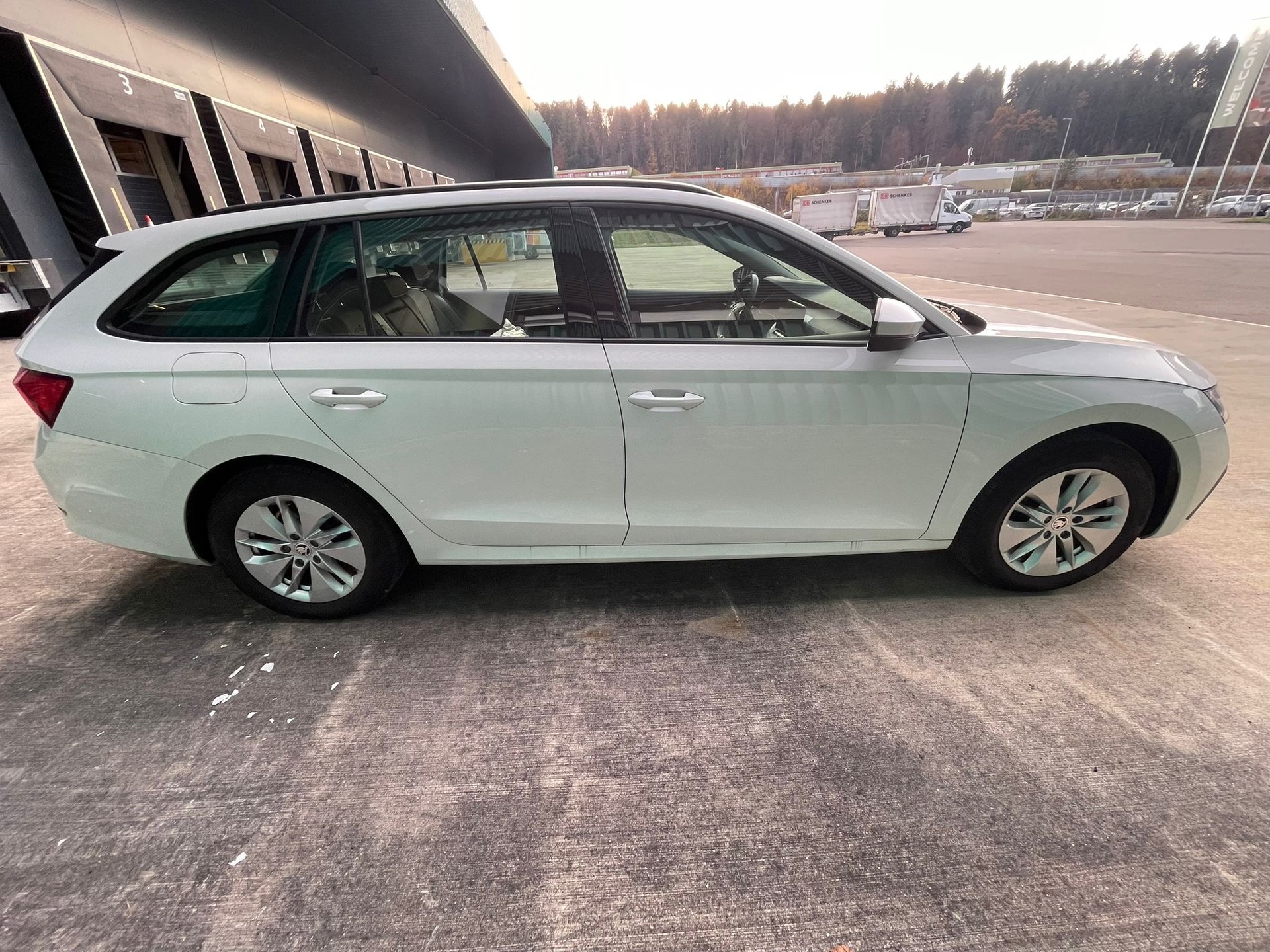 SKODA Facelift Octavia Combi 1.0 TSI mHEV DSG Ambition CH-Auto 62% Rabatt-image-3