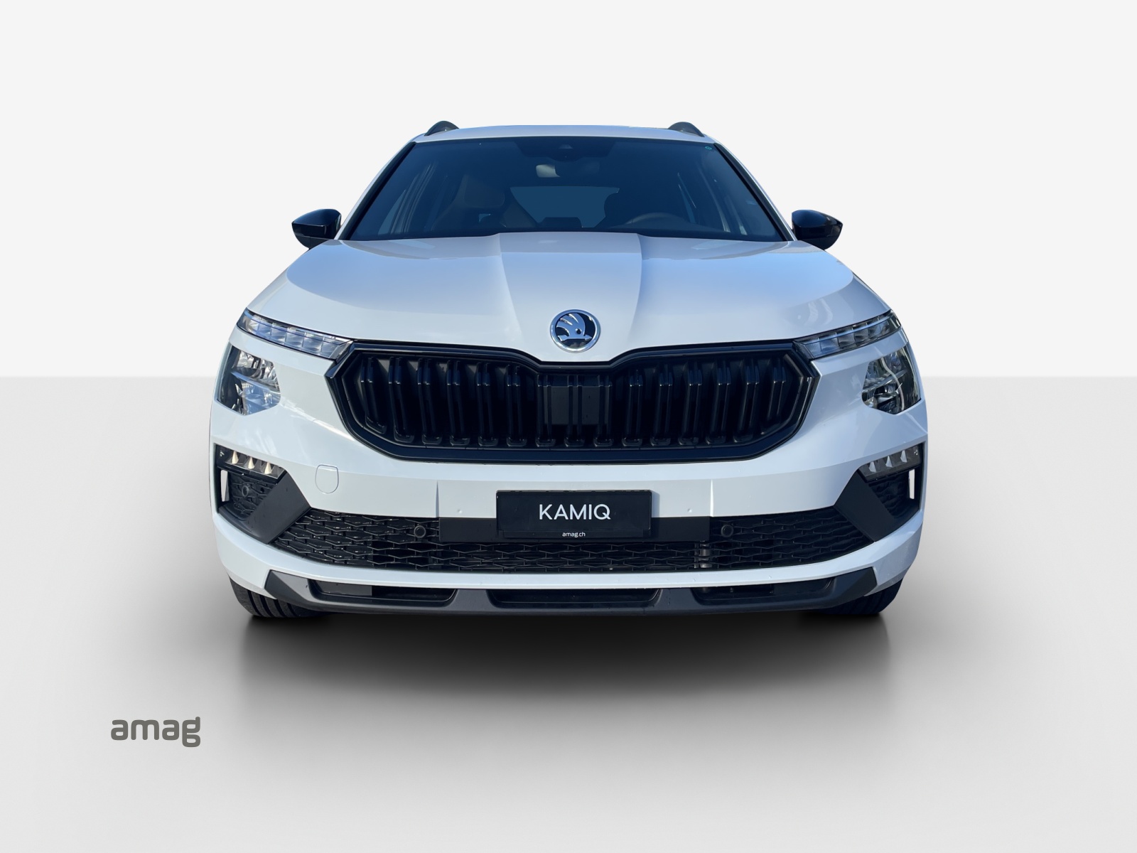 SKODA Kamiq 1.0 TSI Dynamic DSG-image-6