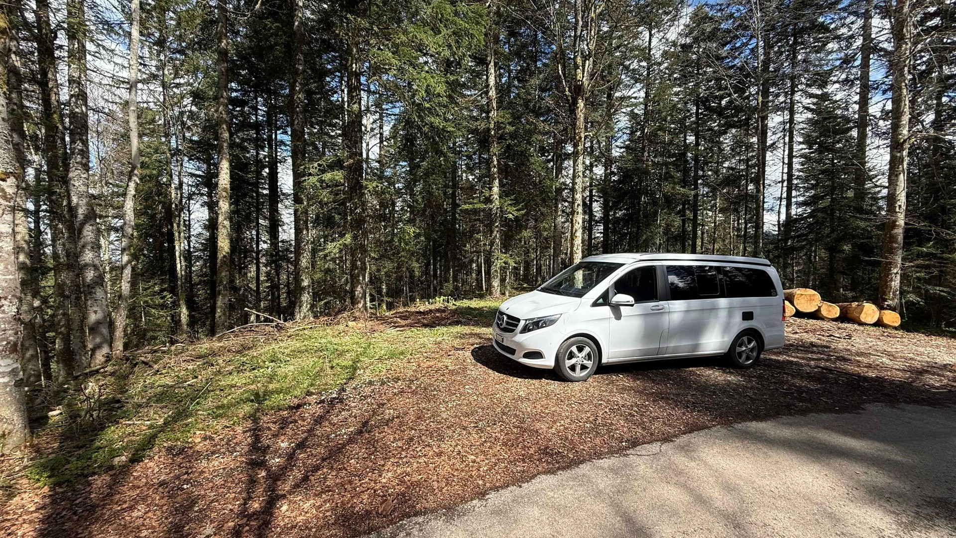 MERCEDES-BENZ Horizon 250 d-image-7