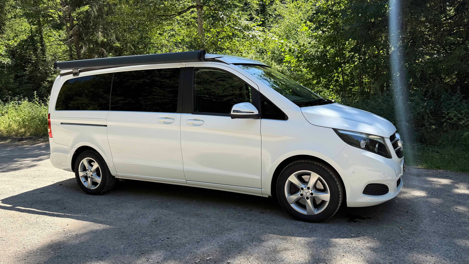 MERCEDES-BENZ Horizon 250 d-image-1