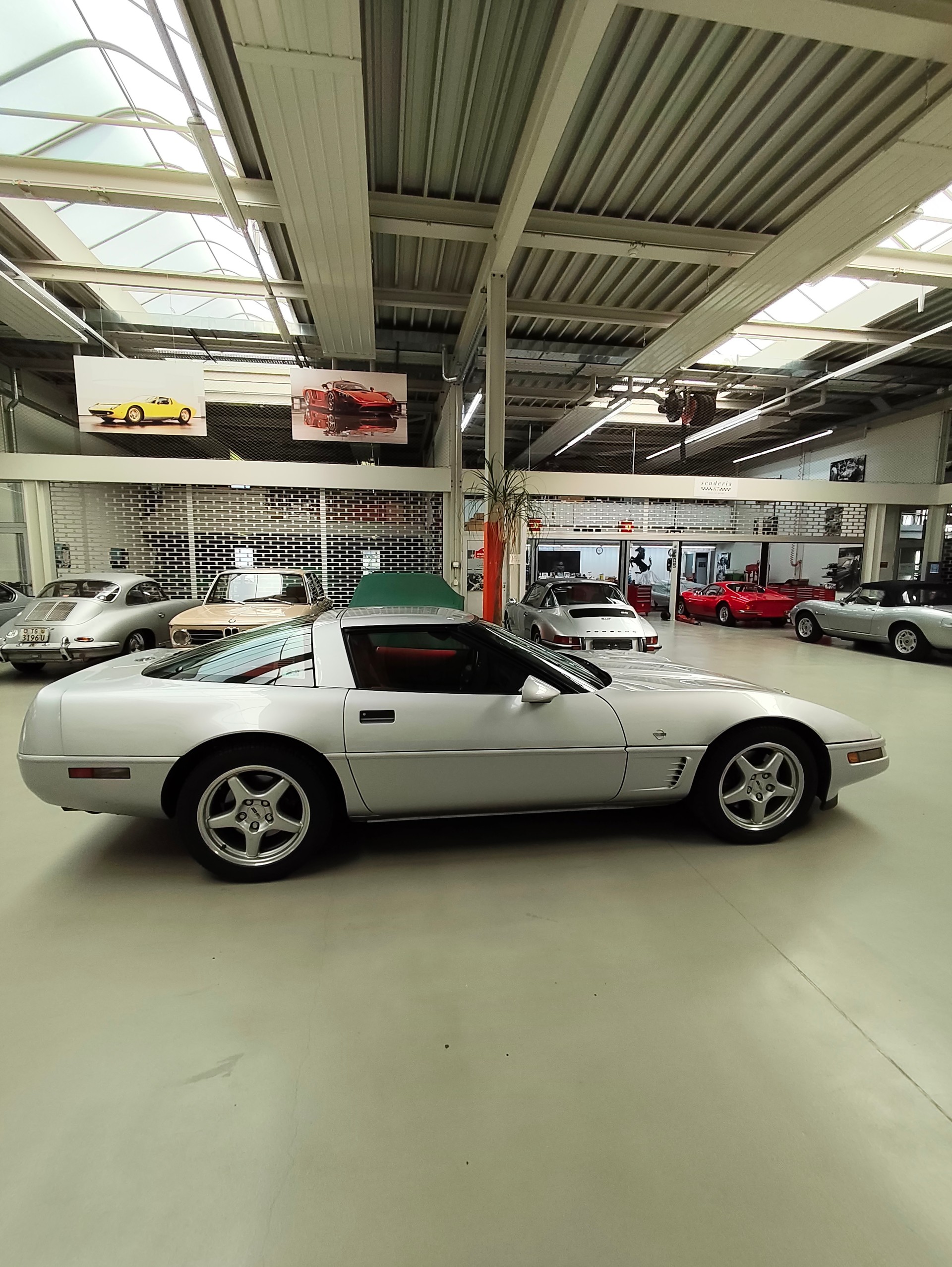 CHEVROLET Traumhafte Corvette C4 Collector Edition (1996) – LT4 & Handschalter-image-1