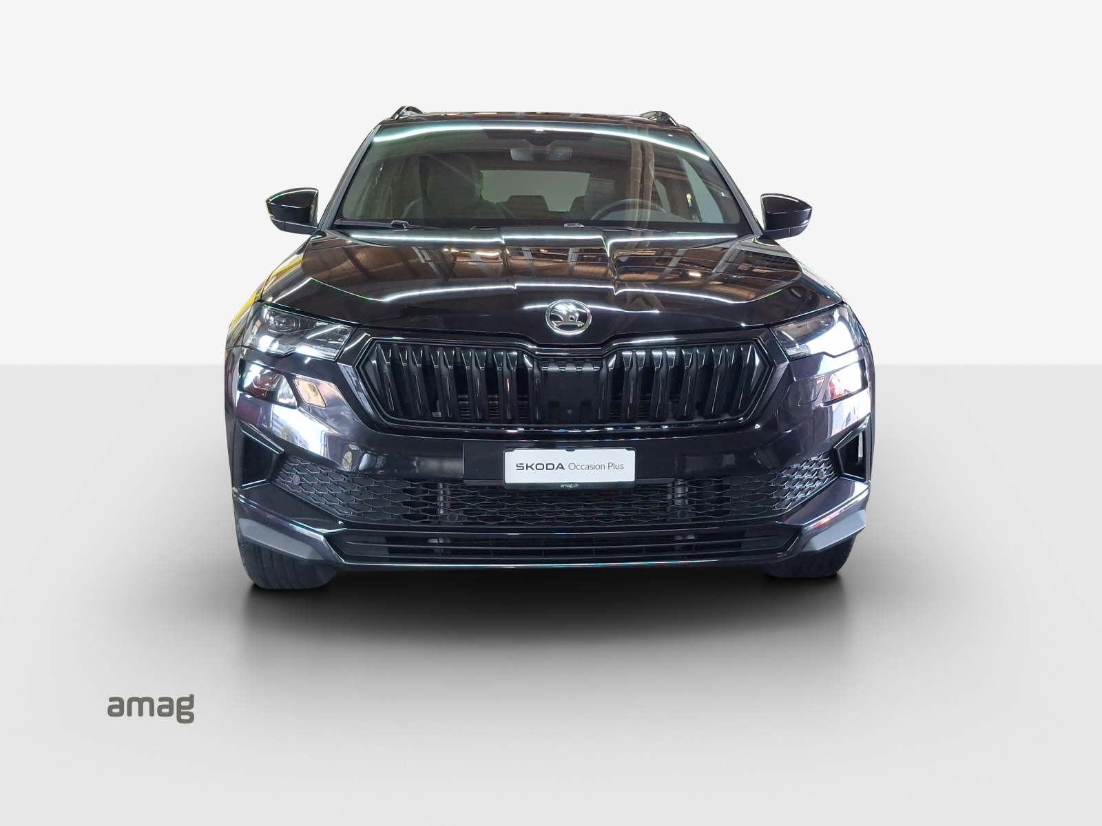 SKODA Karoq 2.0 TSI SportLine 4x4 DSG-image-6
