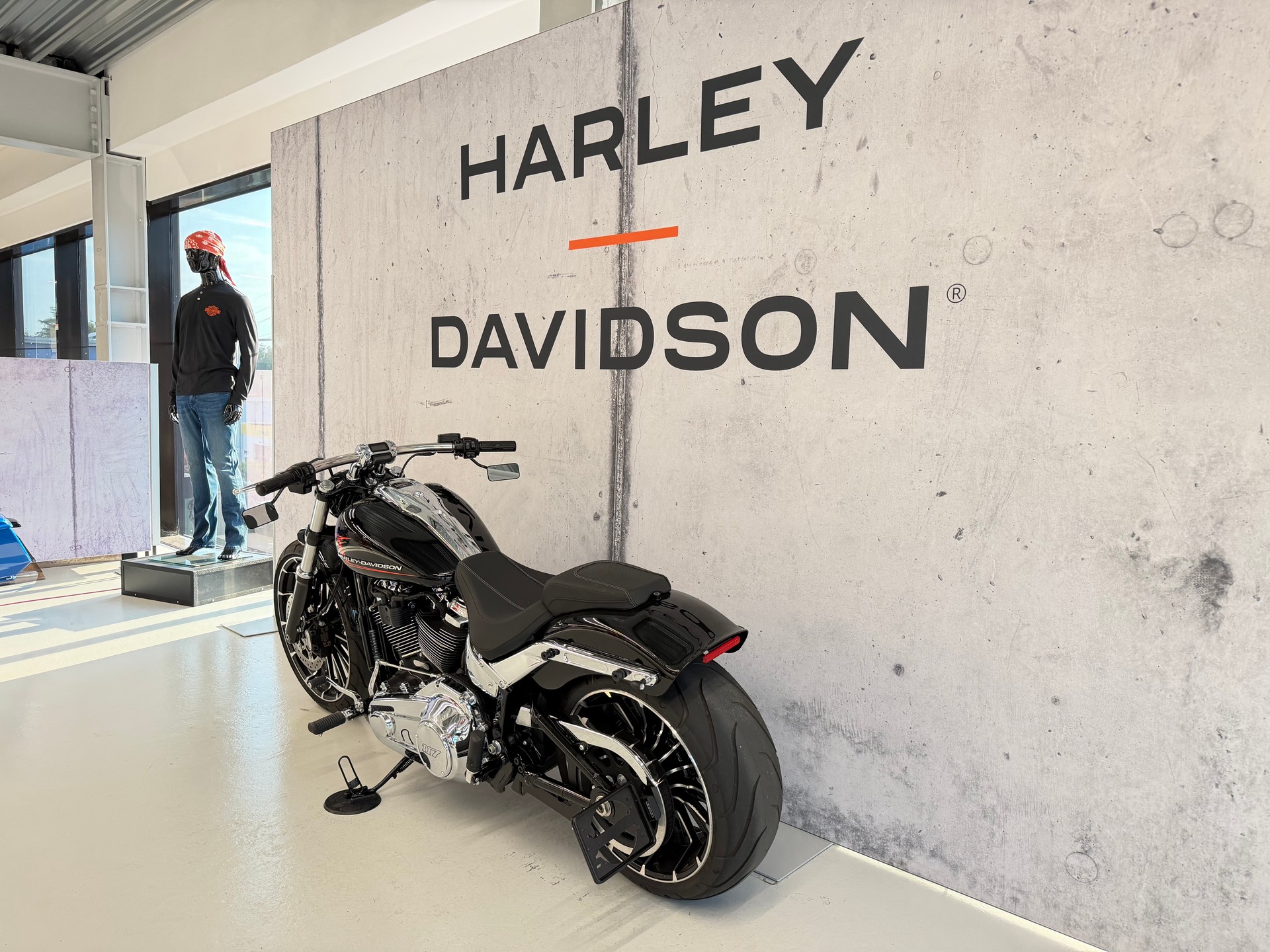 HARLEY-DAVIDSON FXBR Breakout 117-image-5