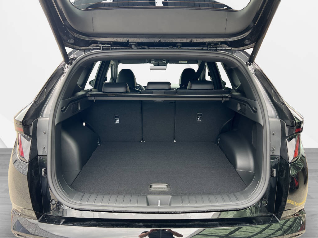 HYUNDAI Tucson 1.6 TGDI HEV N Line 4WD-image-8