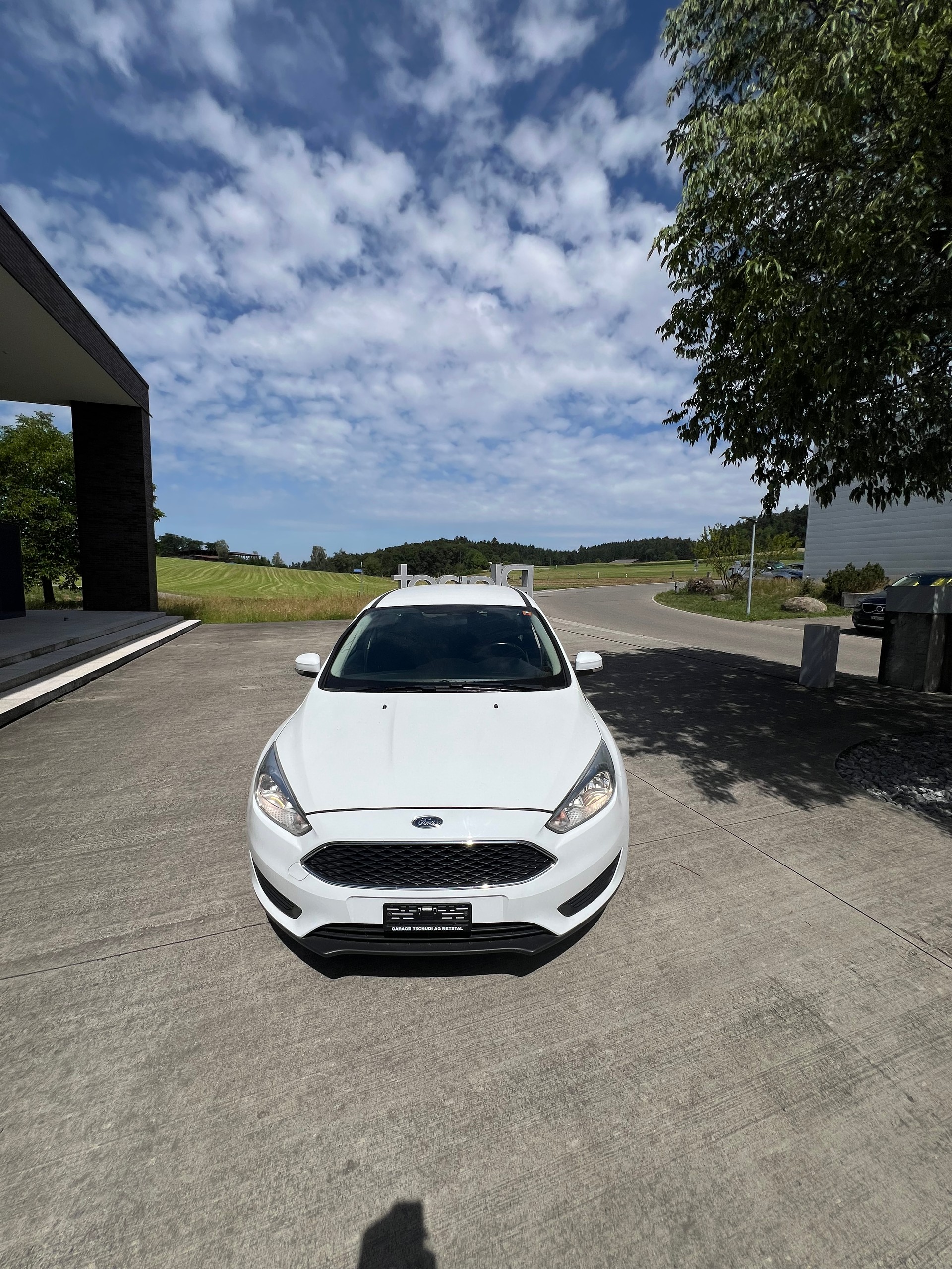 FORD Focus 1.6i VCT Trend PowerShift-image-0
