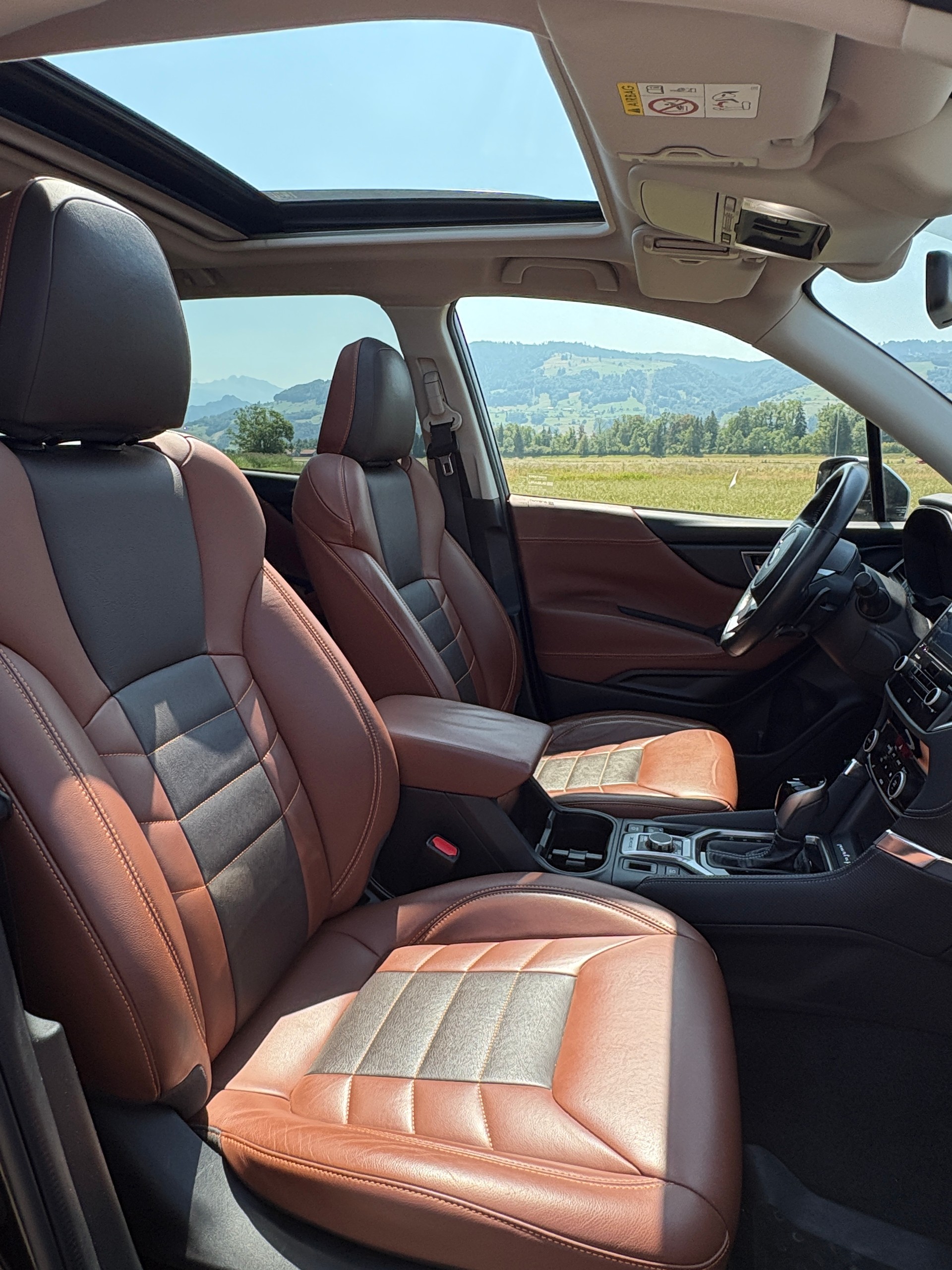SUBARU 2.0i e-Boxer Luxury-image-4