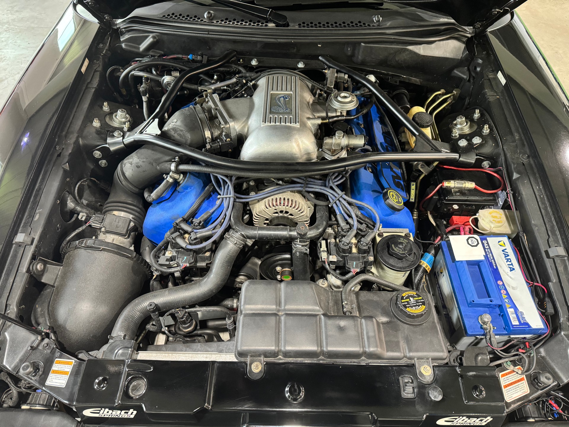 FORD SVT Cobra-image-3
