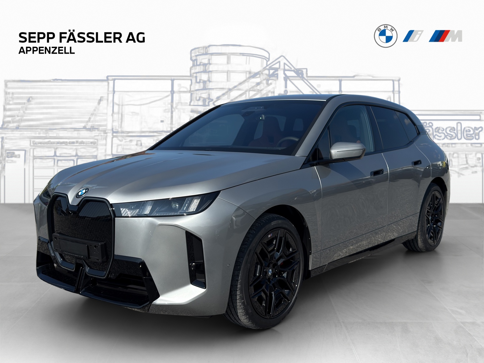 BMW iX xDrive45 M Sport Pro-image-0