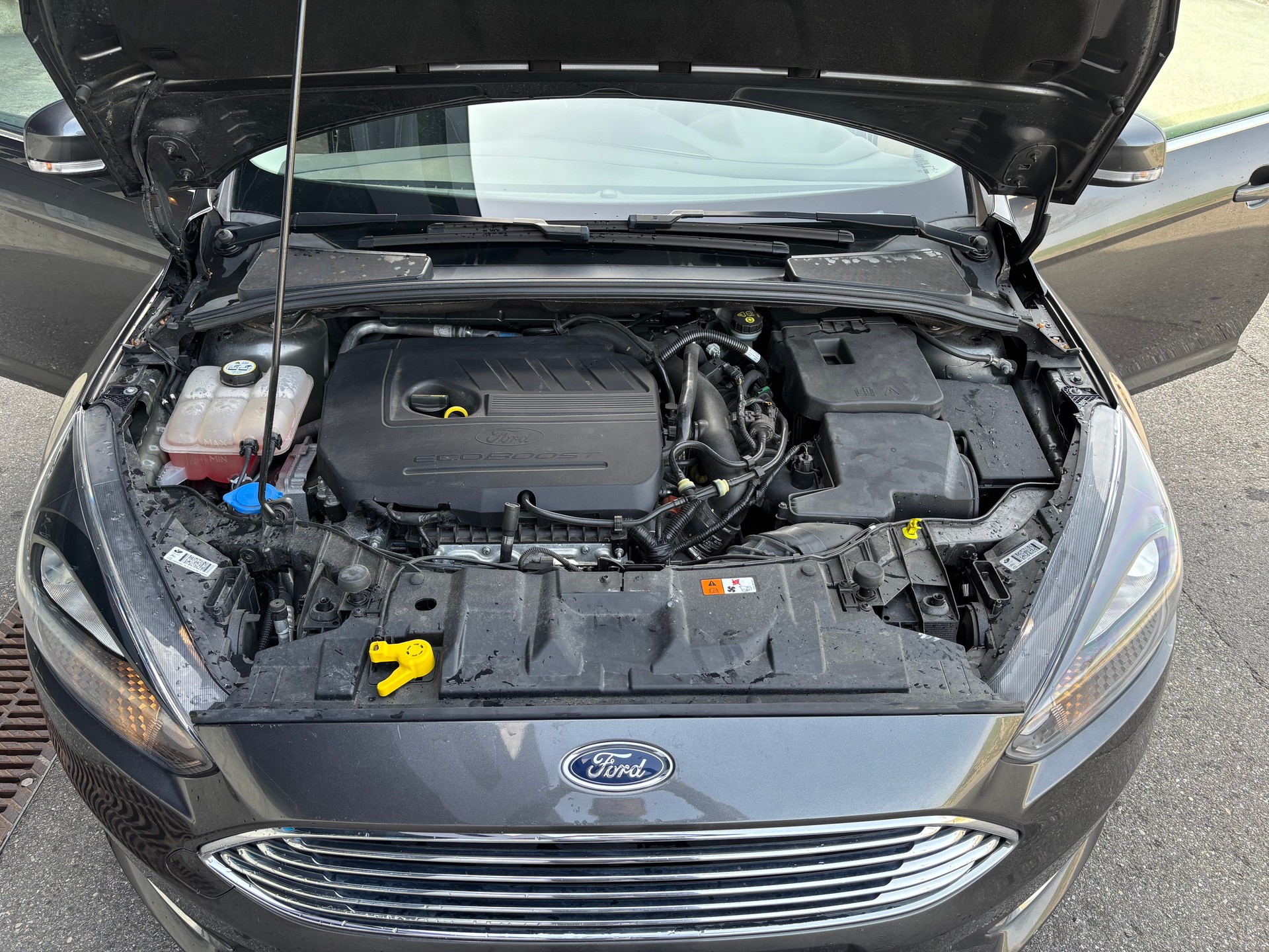 FORD Focus 1.5 SCTi Titanium X Automatic-image-12