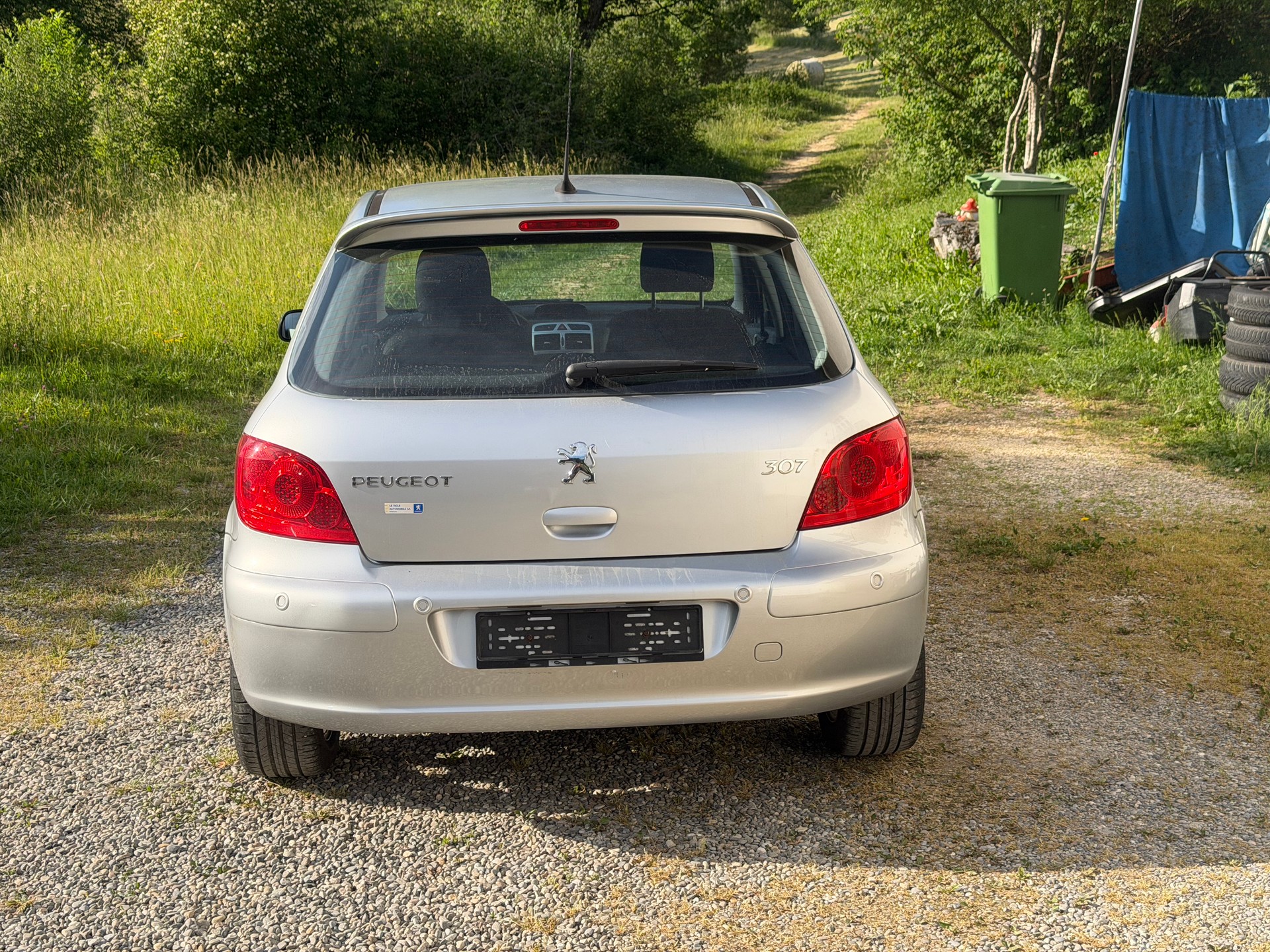 PEUGEOT 307 2.0 16V Platinum Edition-image-9