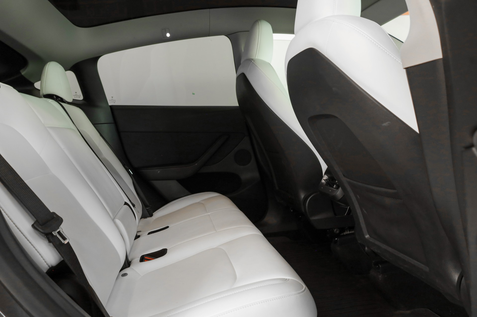 TESLA Model Y RWD-image-10