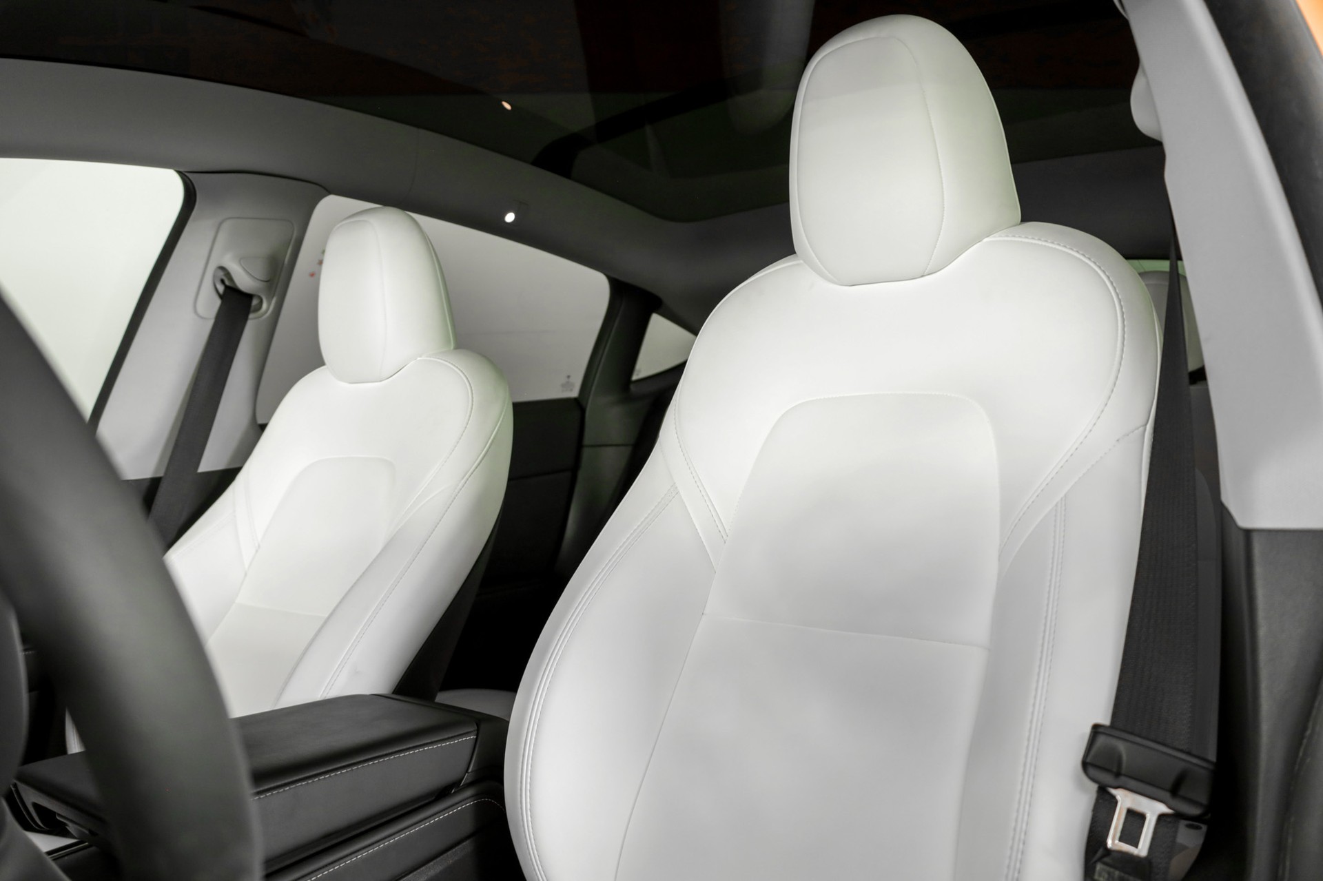 TESLA Model Y RWD-image-7