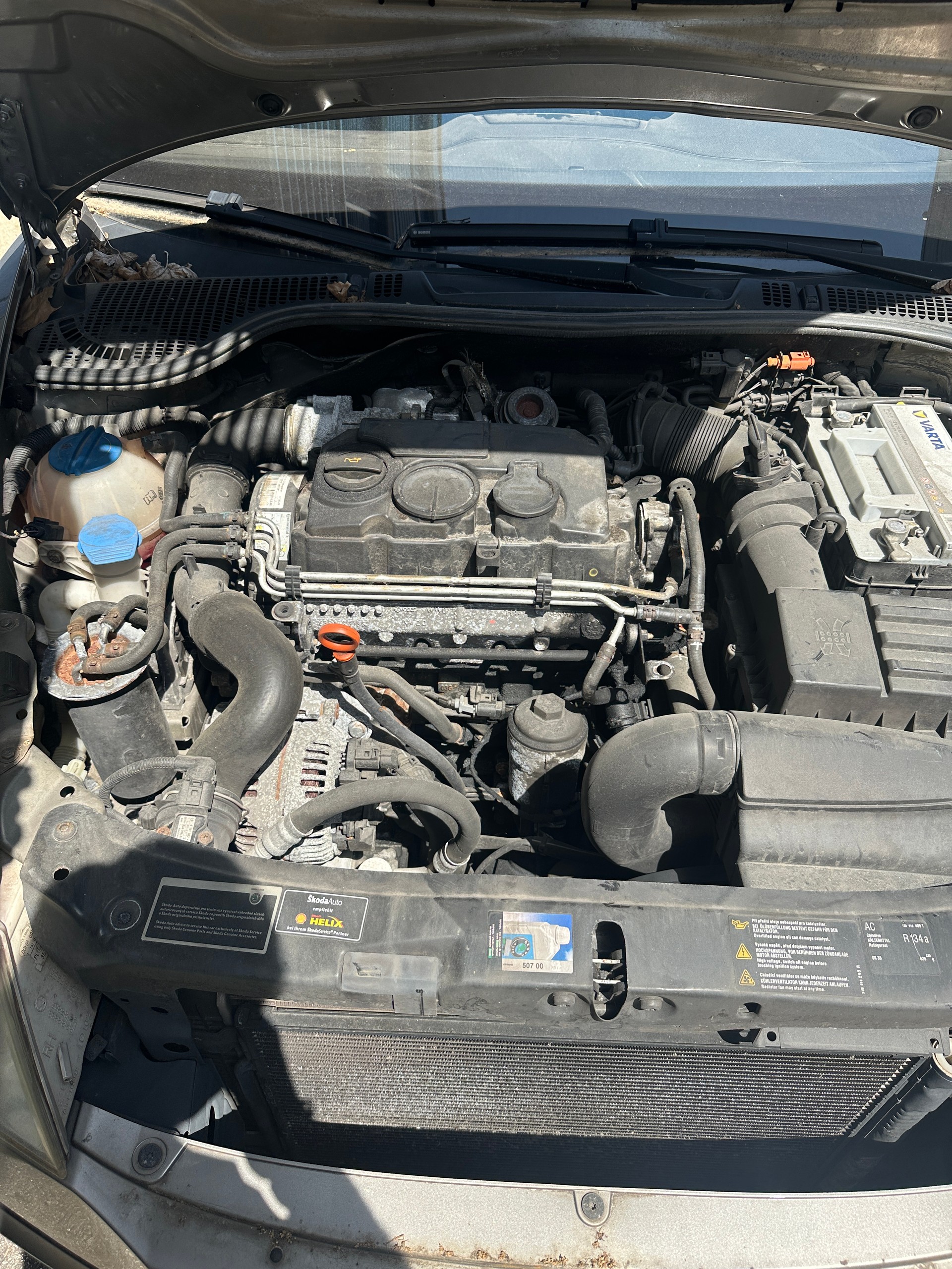 SKODA Octavia 2.0 TDI Ambiente-image-4