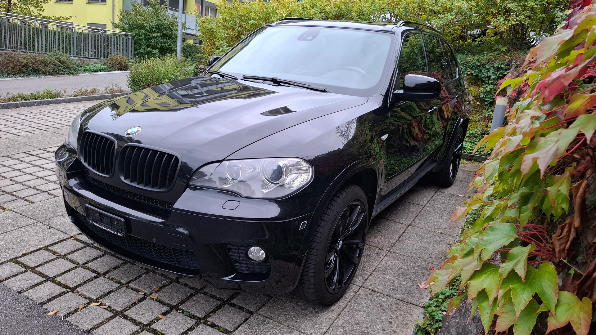 BMW X5 xDrive 40d Steptronic-image-3