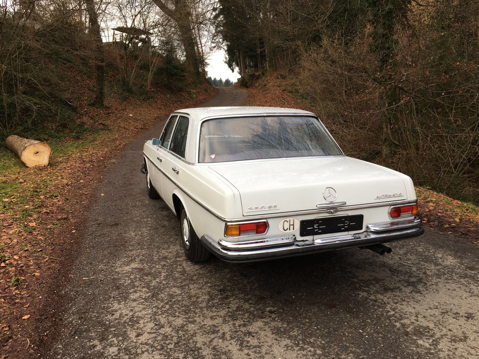 MERCEDES-BENZ 250 SE 250 Automatic-image-2