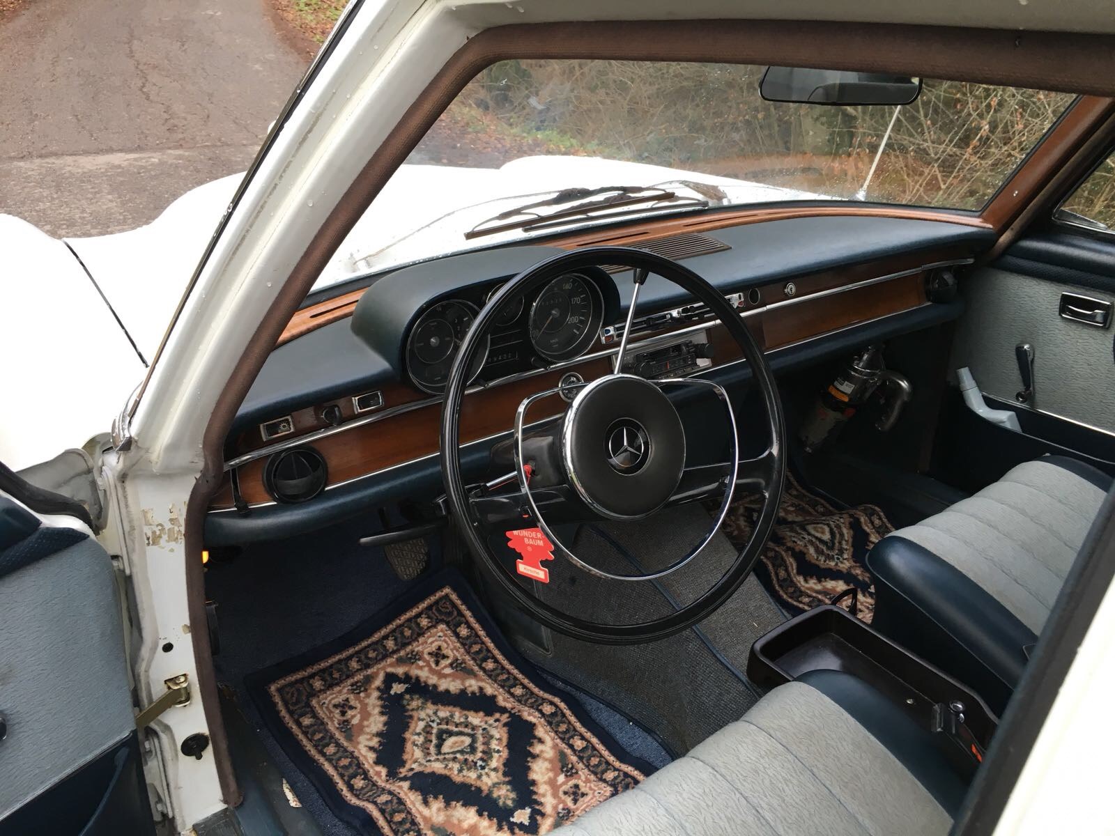 MERCEDES-BENZ 250 SE 250 Automatic-image-4