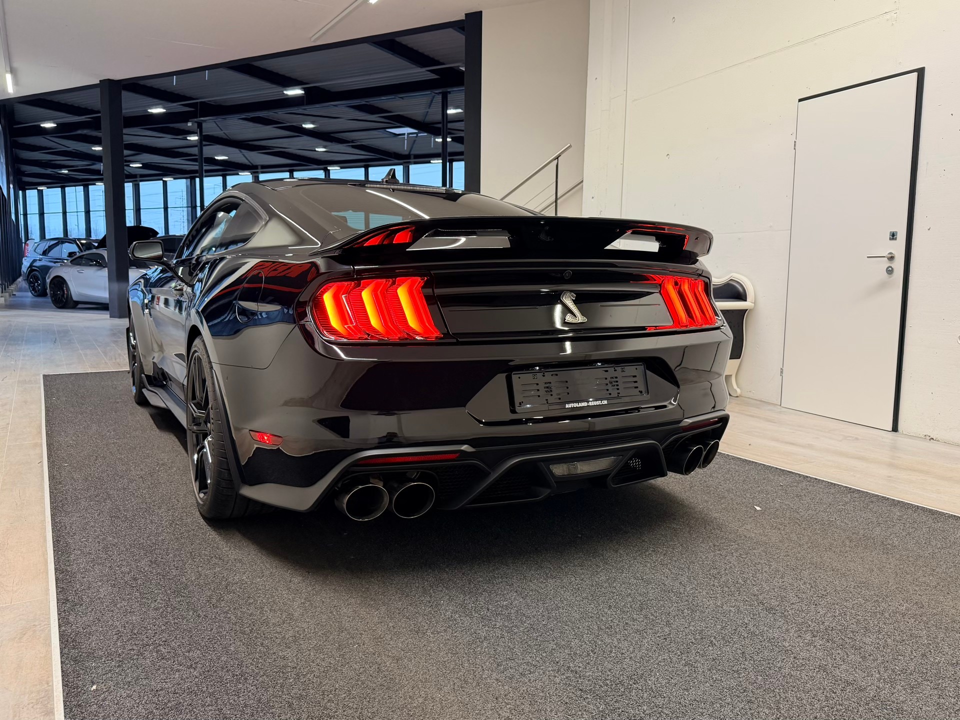 FORD Shelby GT 500-image-9