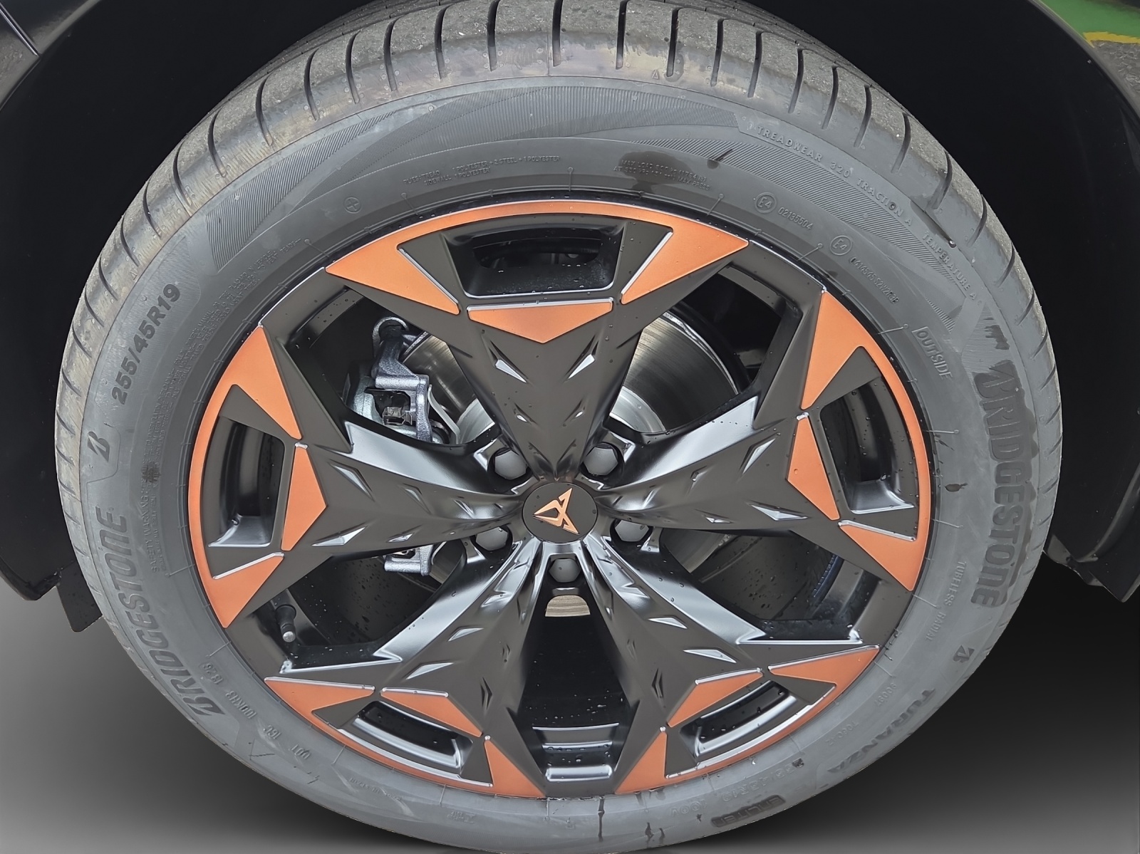 CUPRA Terramar 1.5 eTSI Prime Edition DSG-image-13