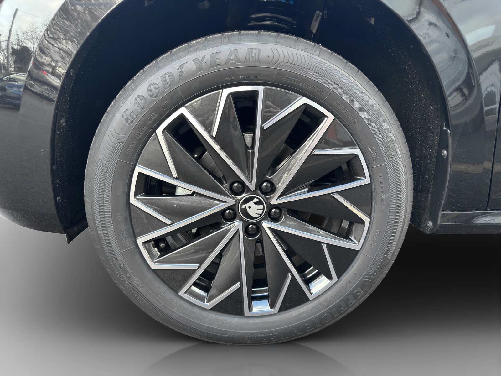 SKODA Kamiq 1.0 TSI Dynamic DSG-image-14