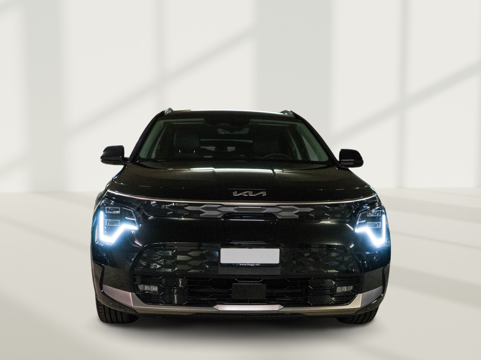 KIA Niro EV 64,8 kWh Style-showroom-element-1