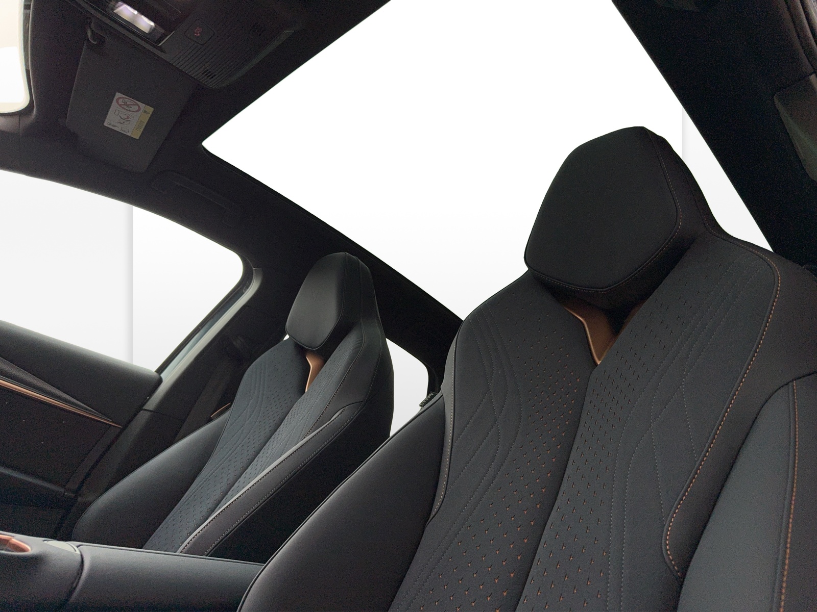CUPRA Tavascan VZ Type 9-image-13